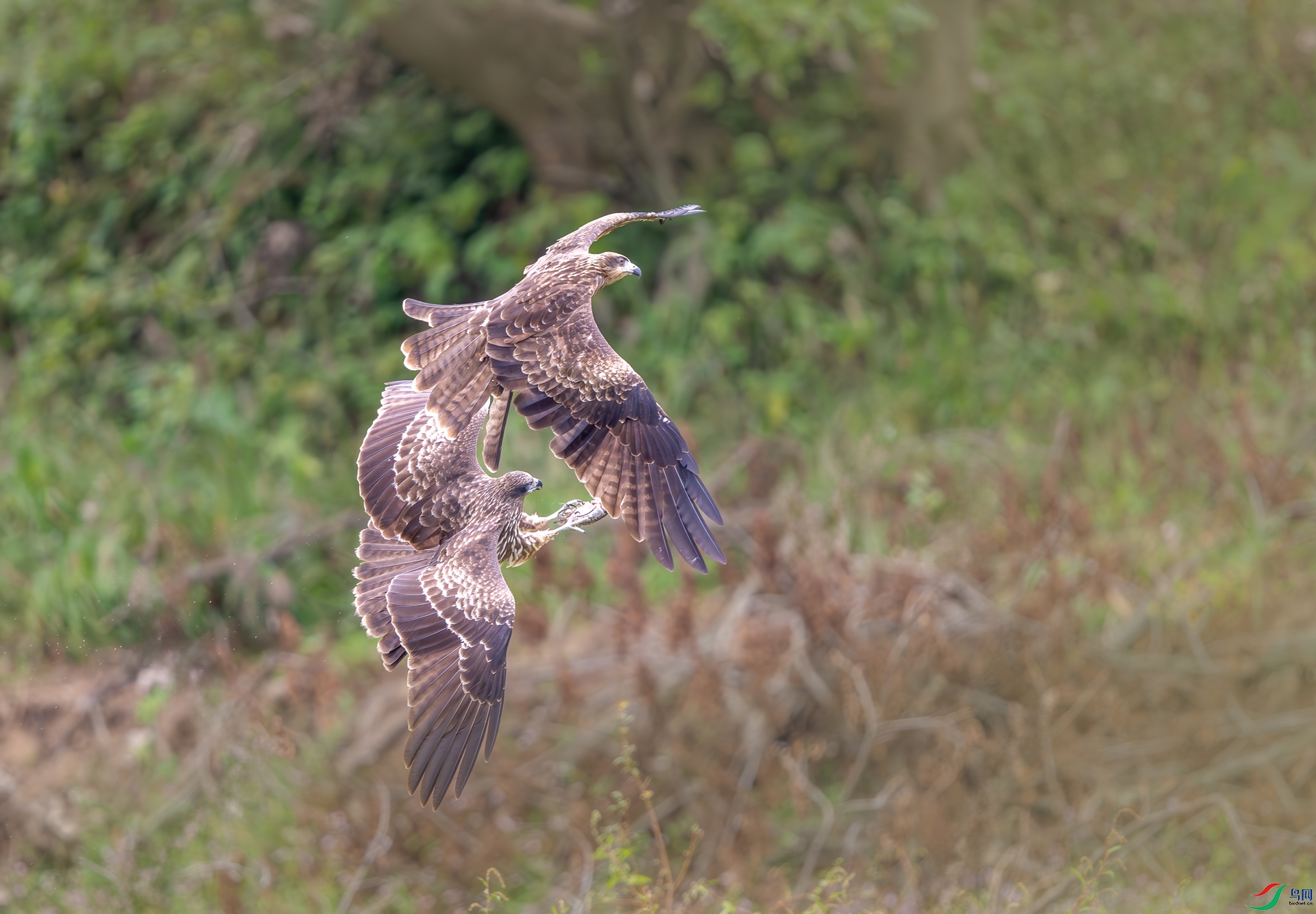 DSC_4029.jpg