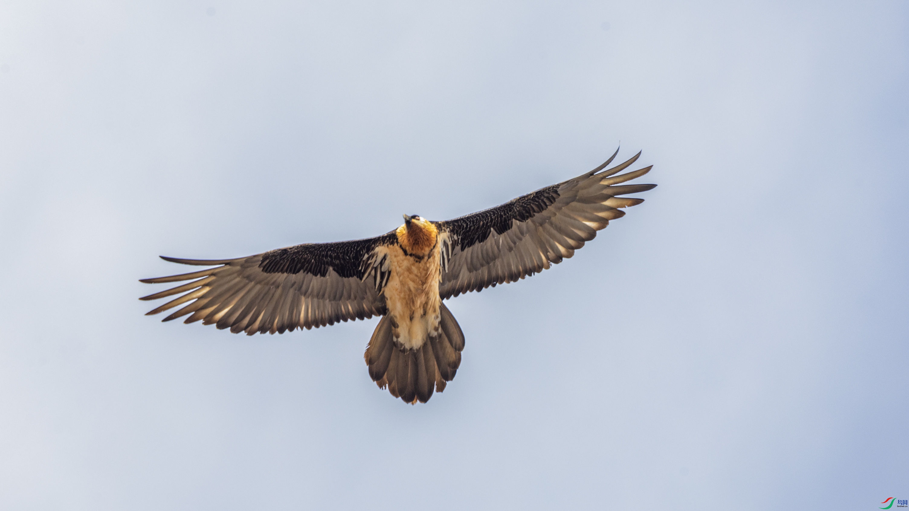 _O7A4512 ����.jpg