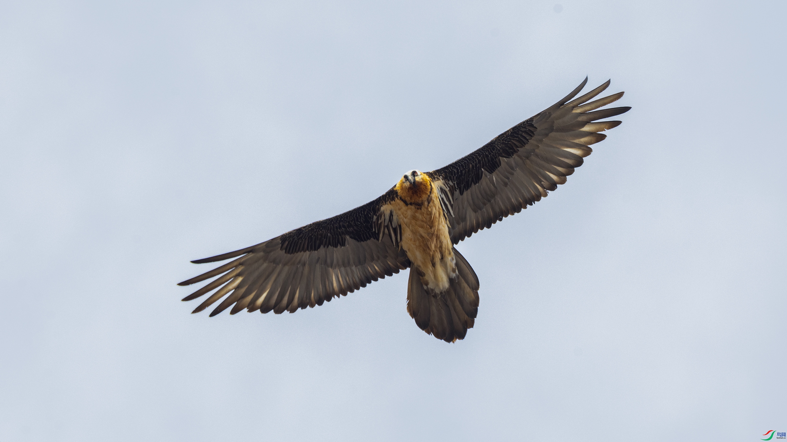 _O7A4519 ����.jpg