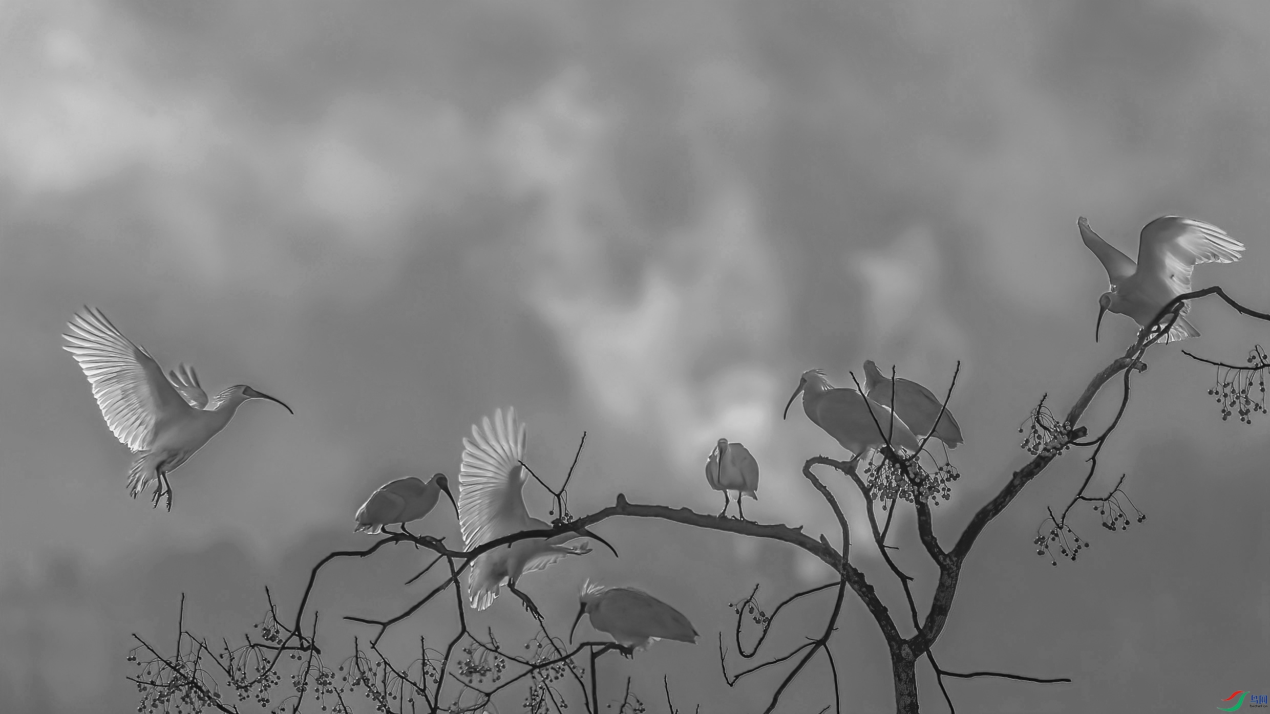 AE1V3981 ����.jpg