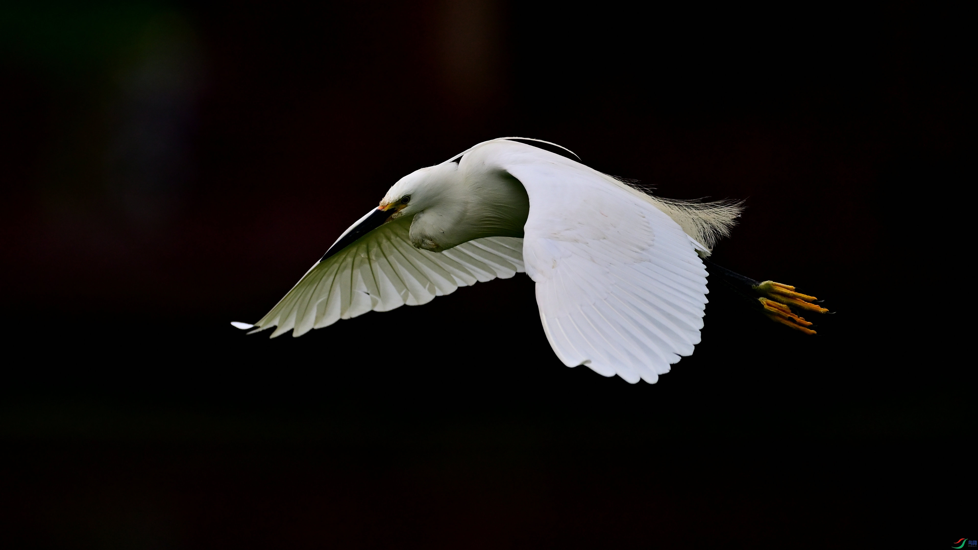 DSC_4670.jpg