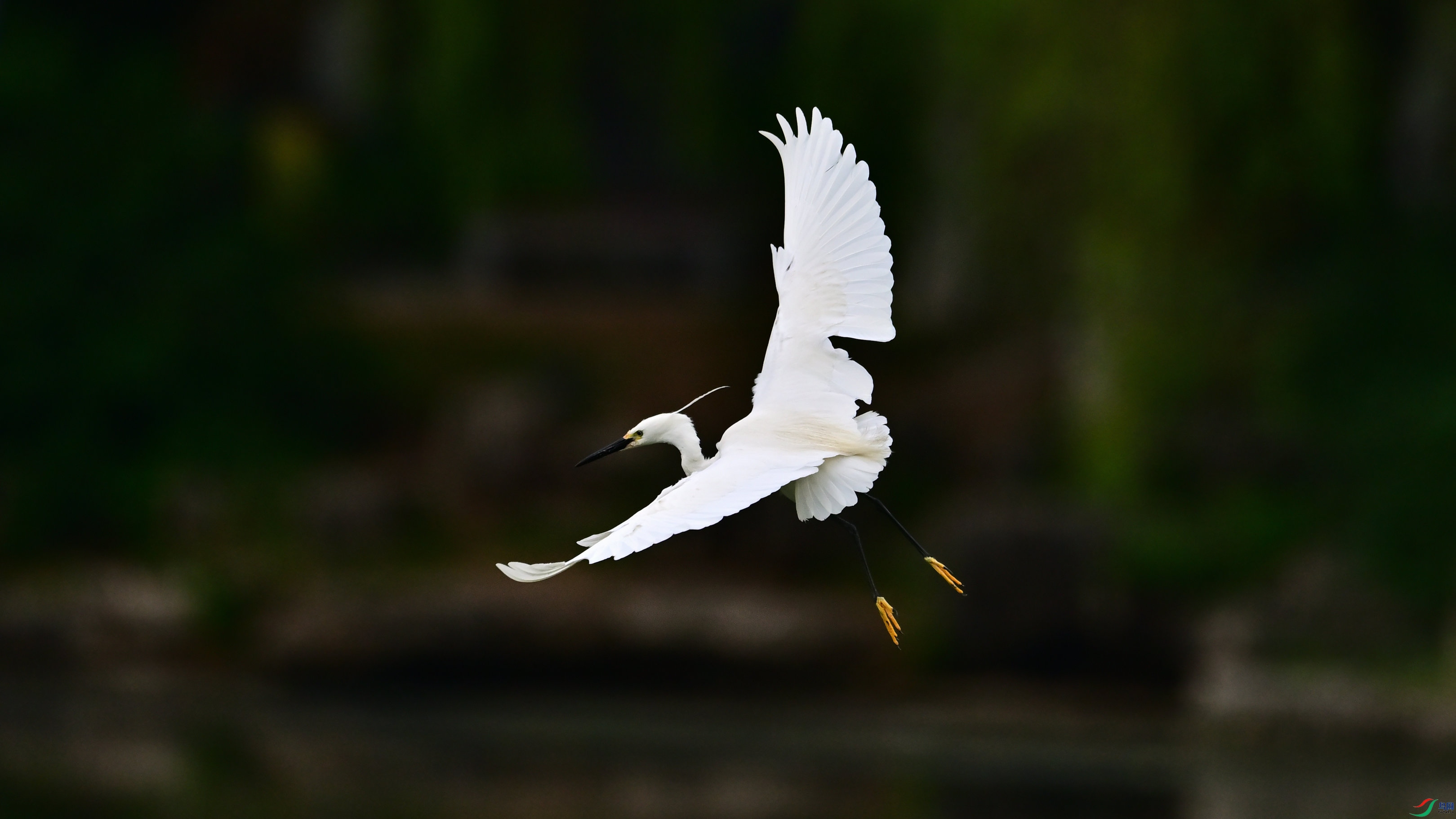 DSC_4693_03.jpg