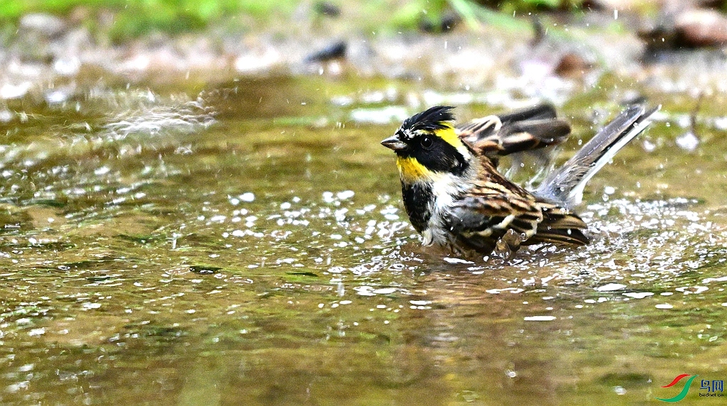 DSC_0819.JPG