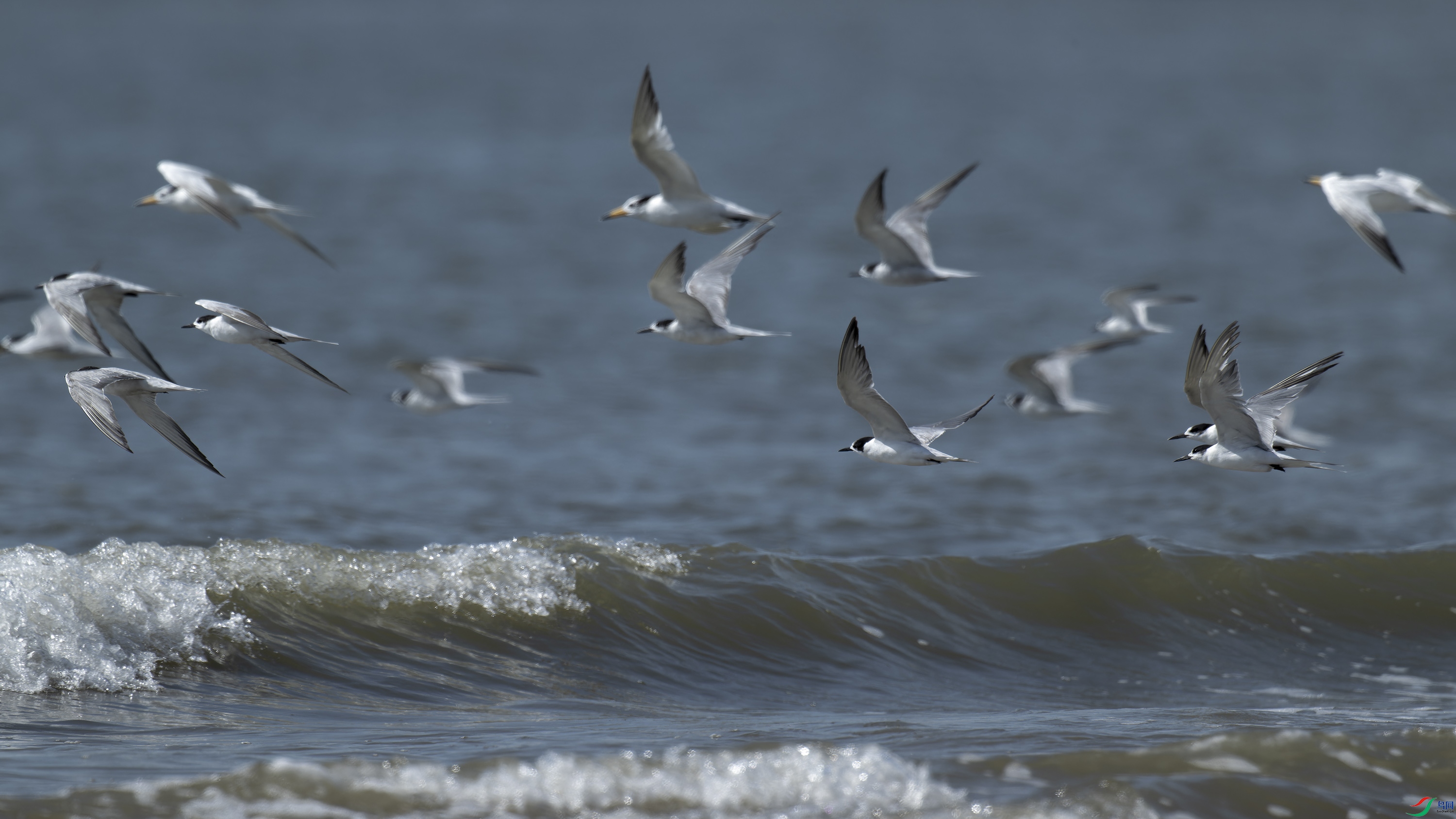DSC_6974_DxO.jpg