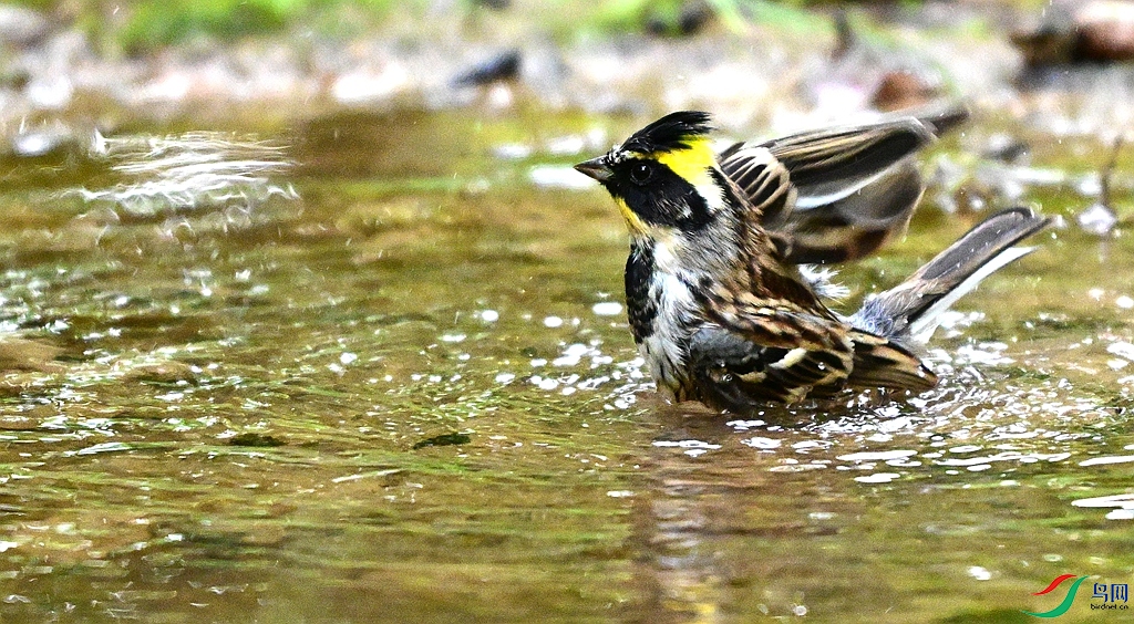 DSC_0823.JPG
