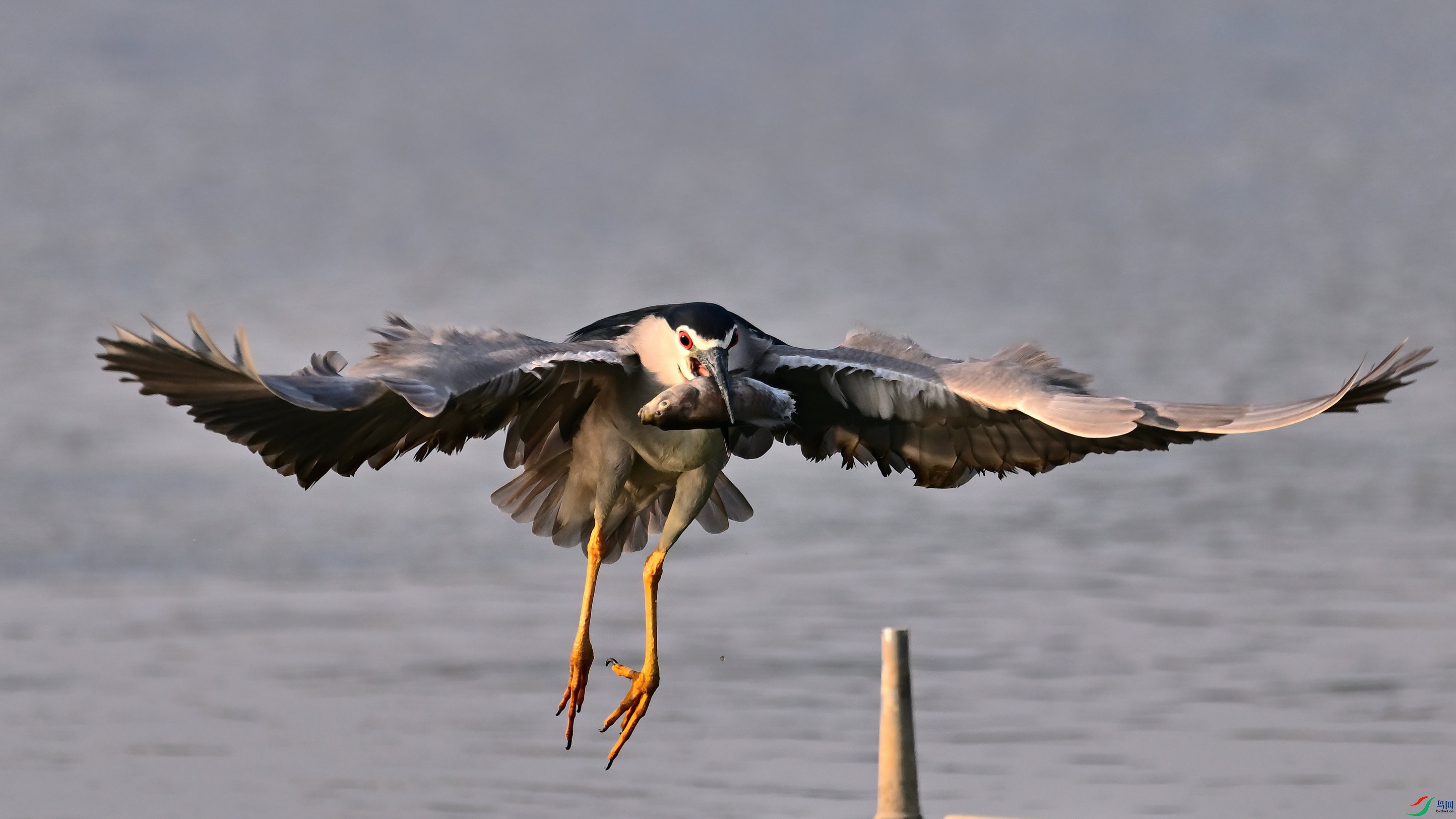 DSC_5077_01.jpg