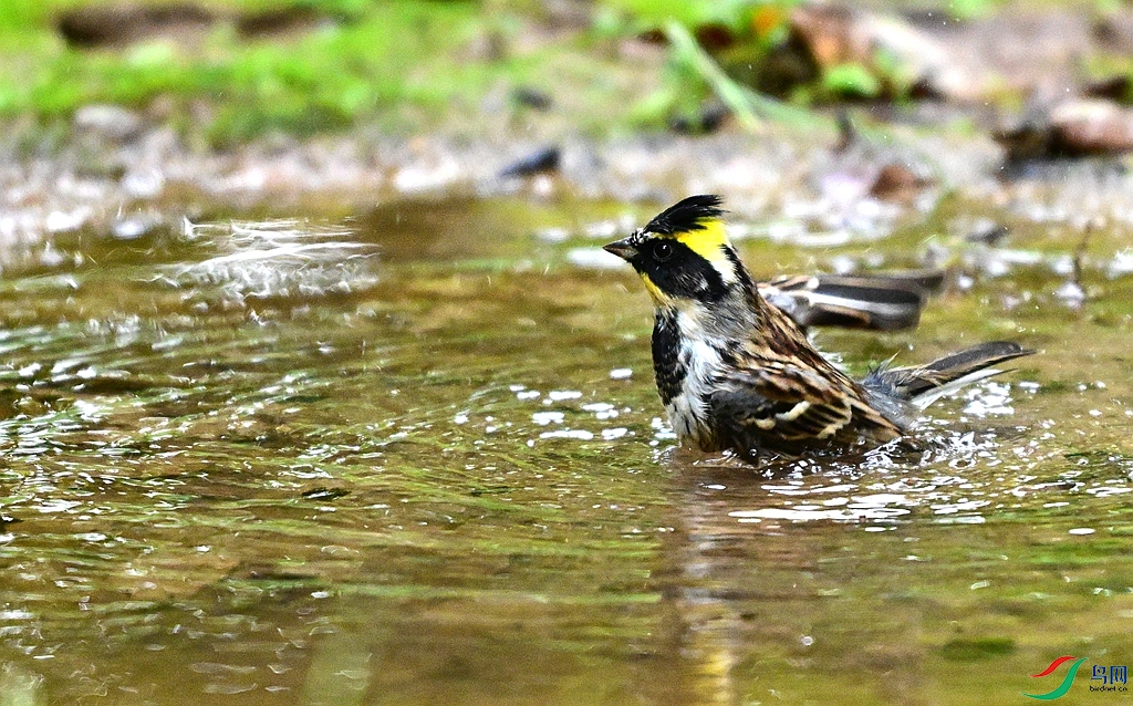 DSC_0825.JPG