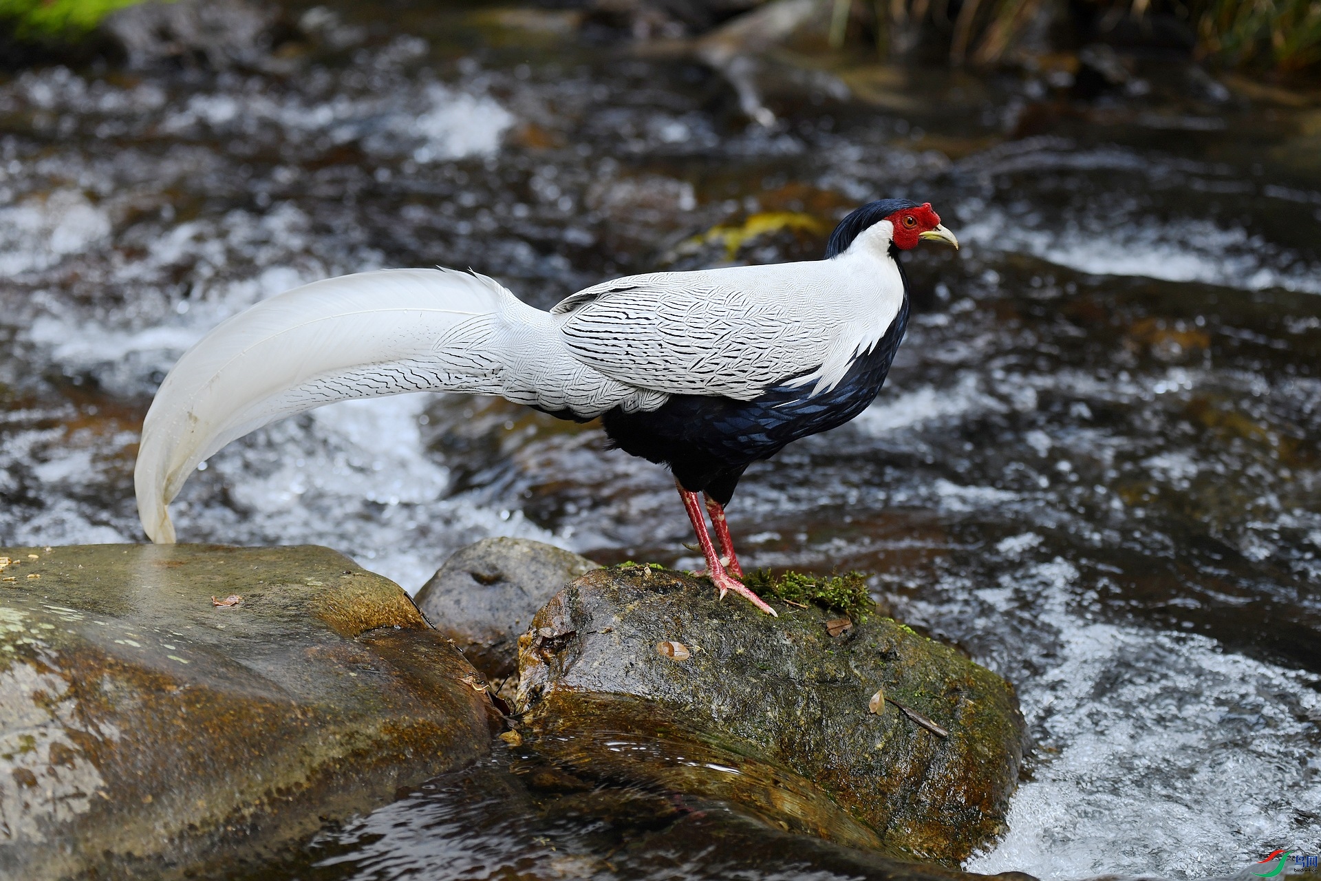 DSC_3790.jpg