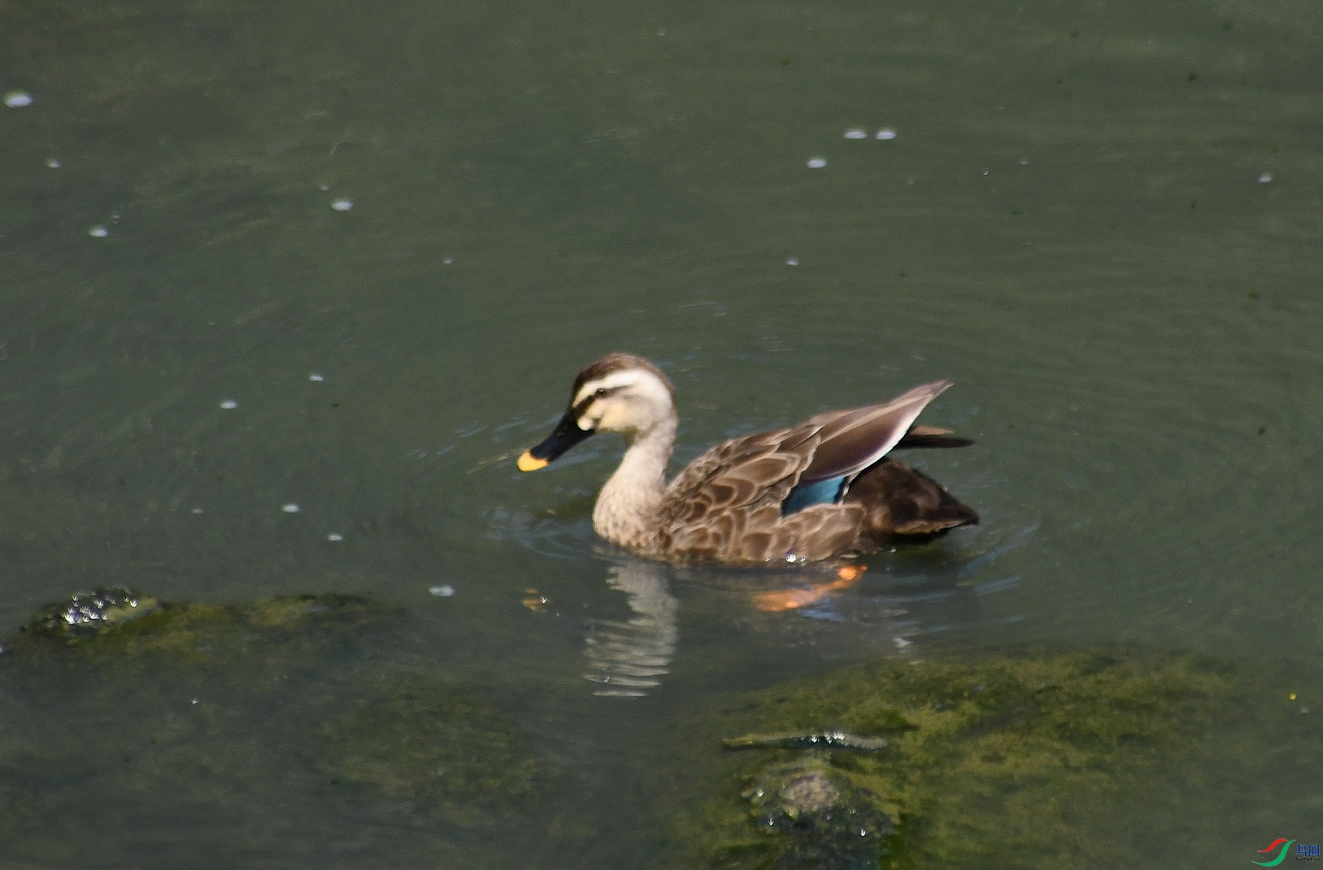 DSC_3221.jpg