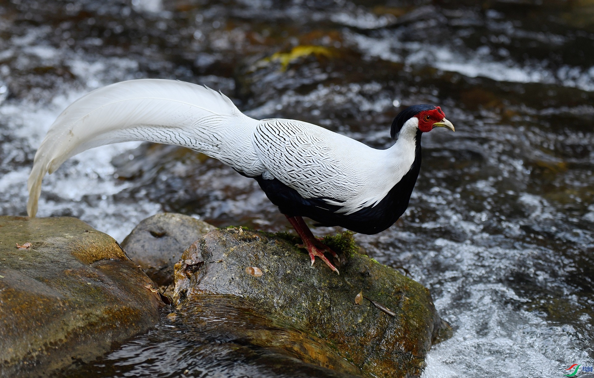 DSC_3794.jpg