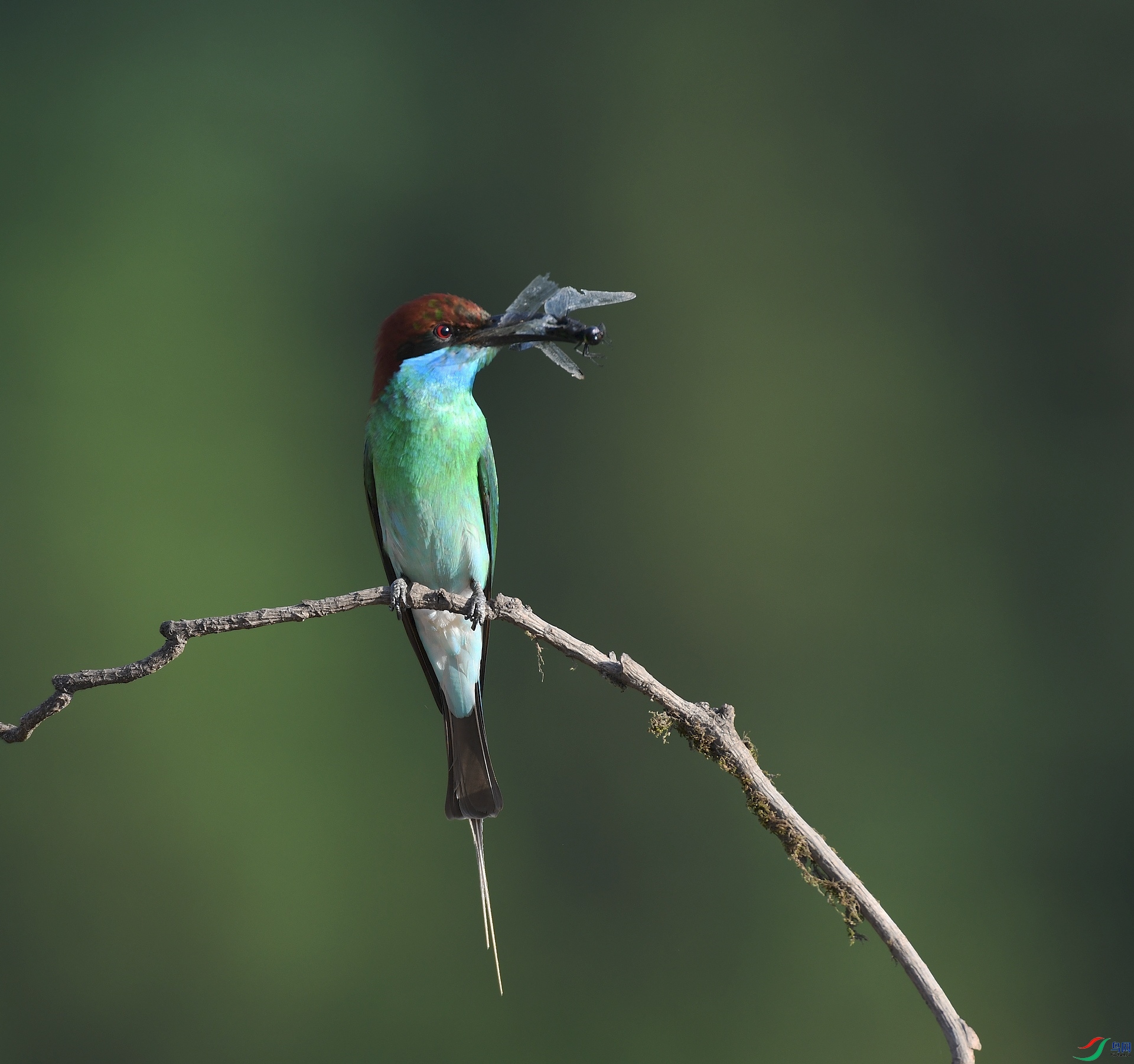 DSC_4126.jpg