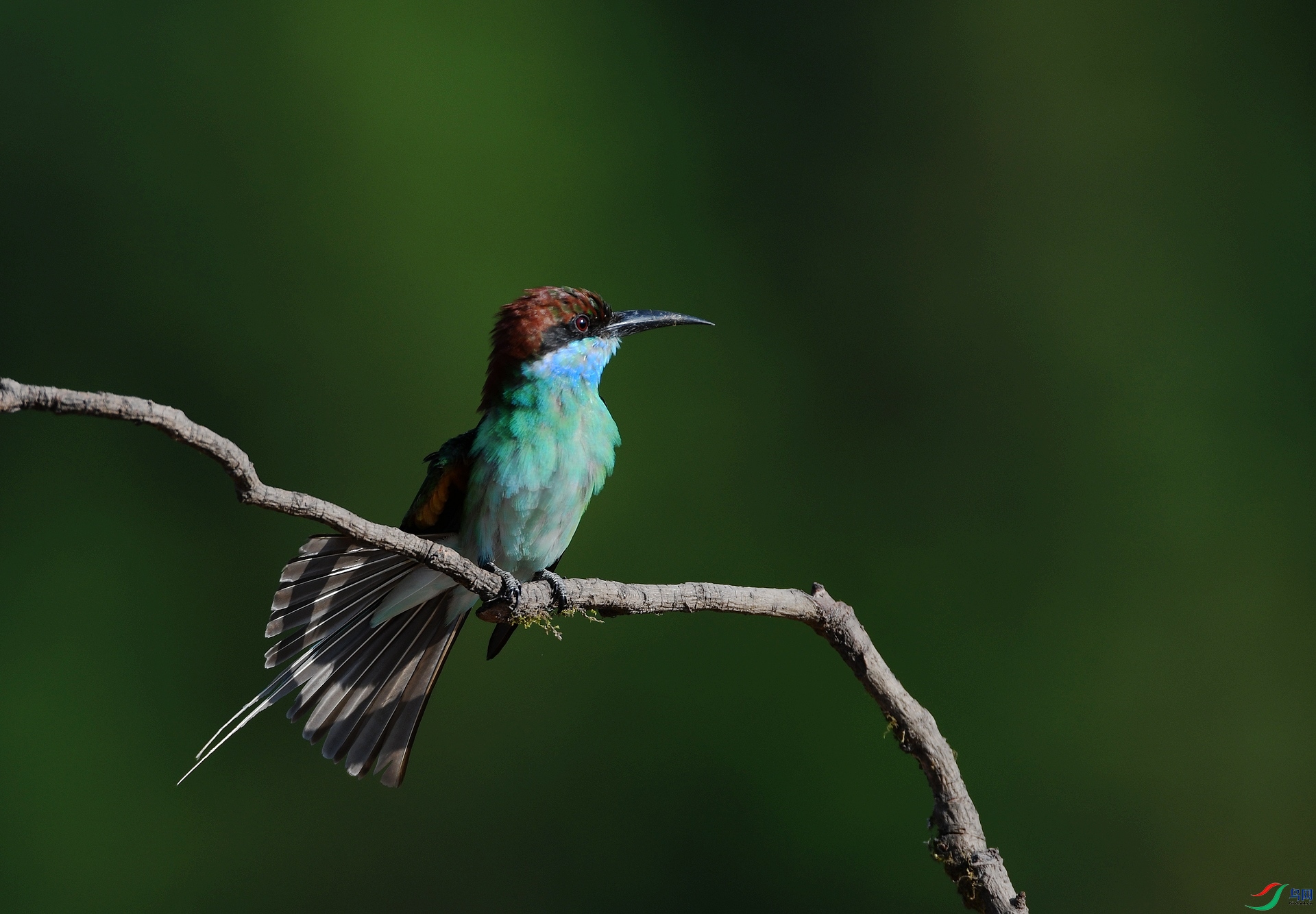 DSC_4733.jpg