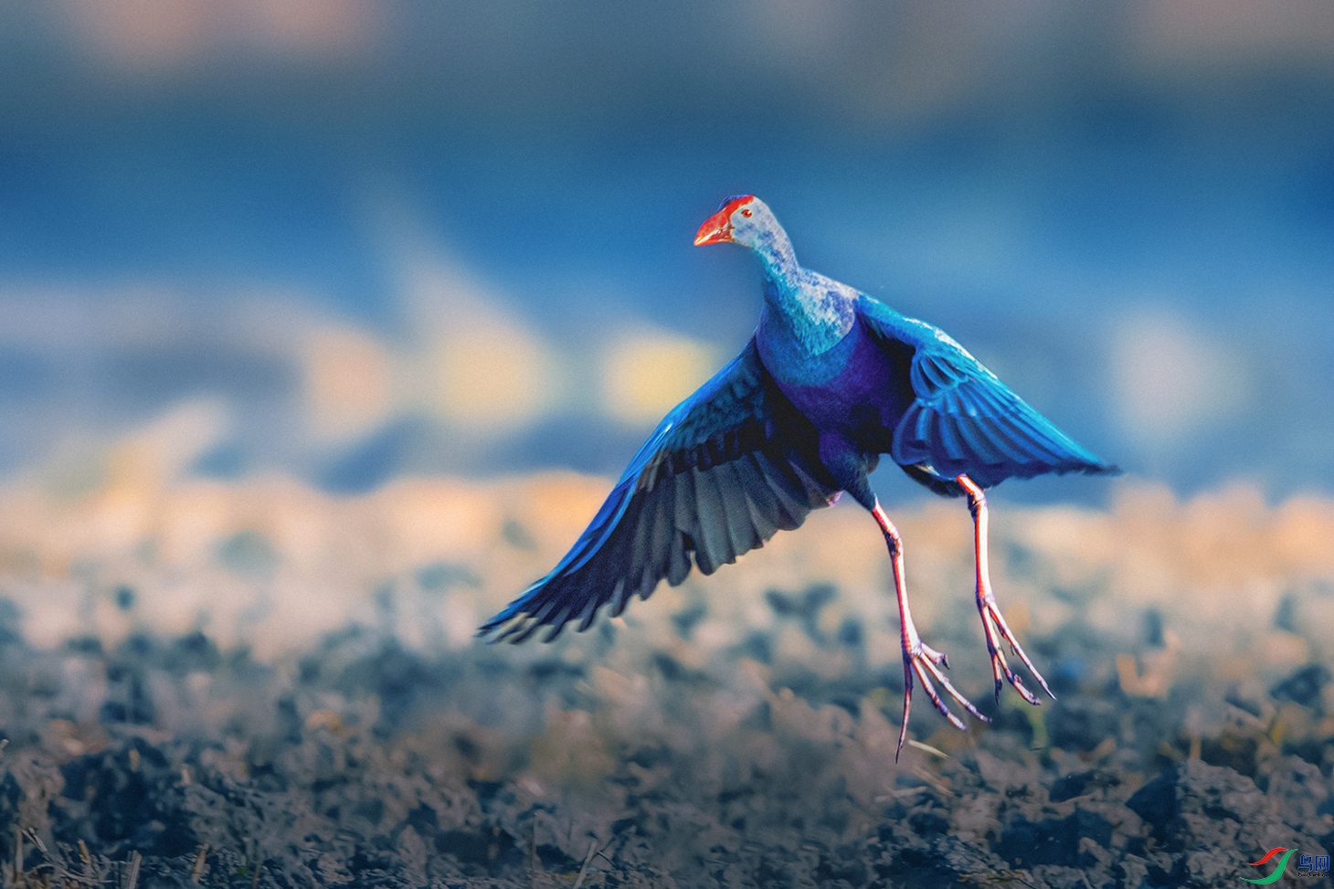 ��ˮ��----չ��ӭ����