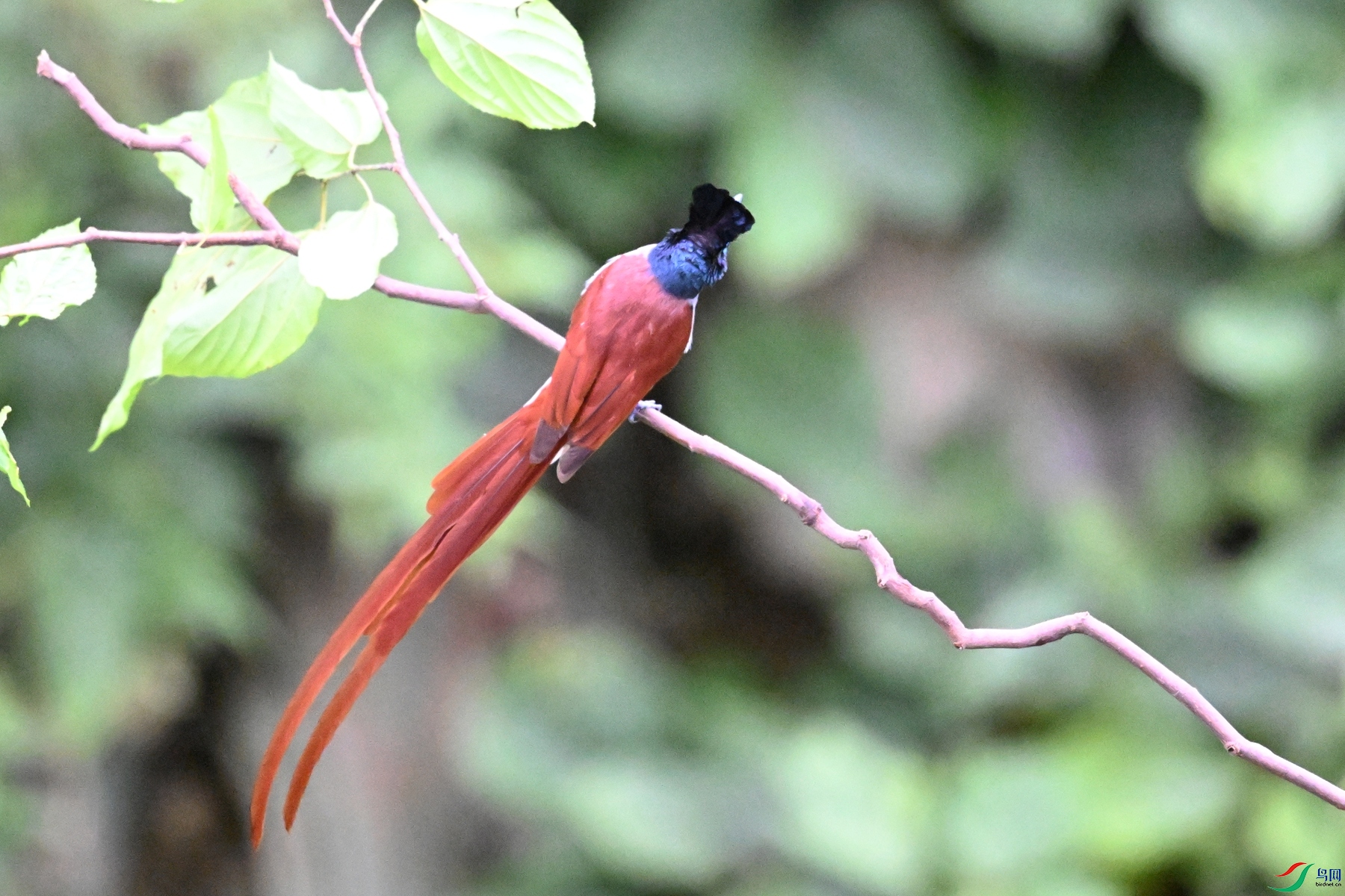 DSC_6386.JPG