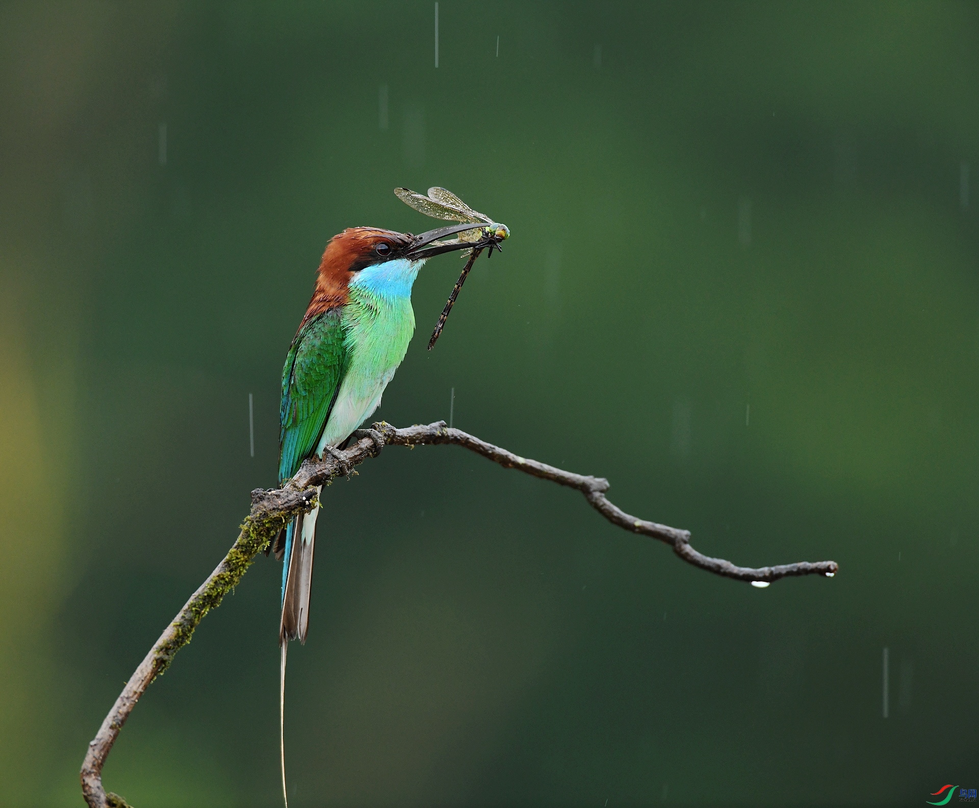 DSC_9186.jpg