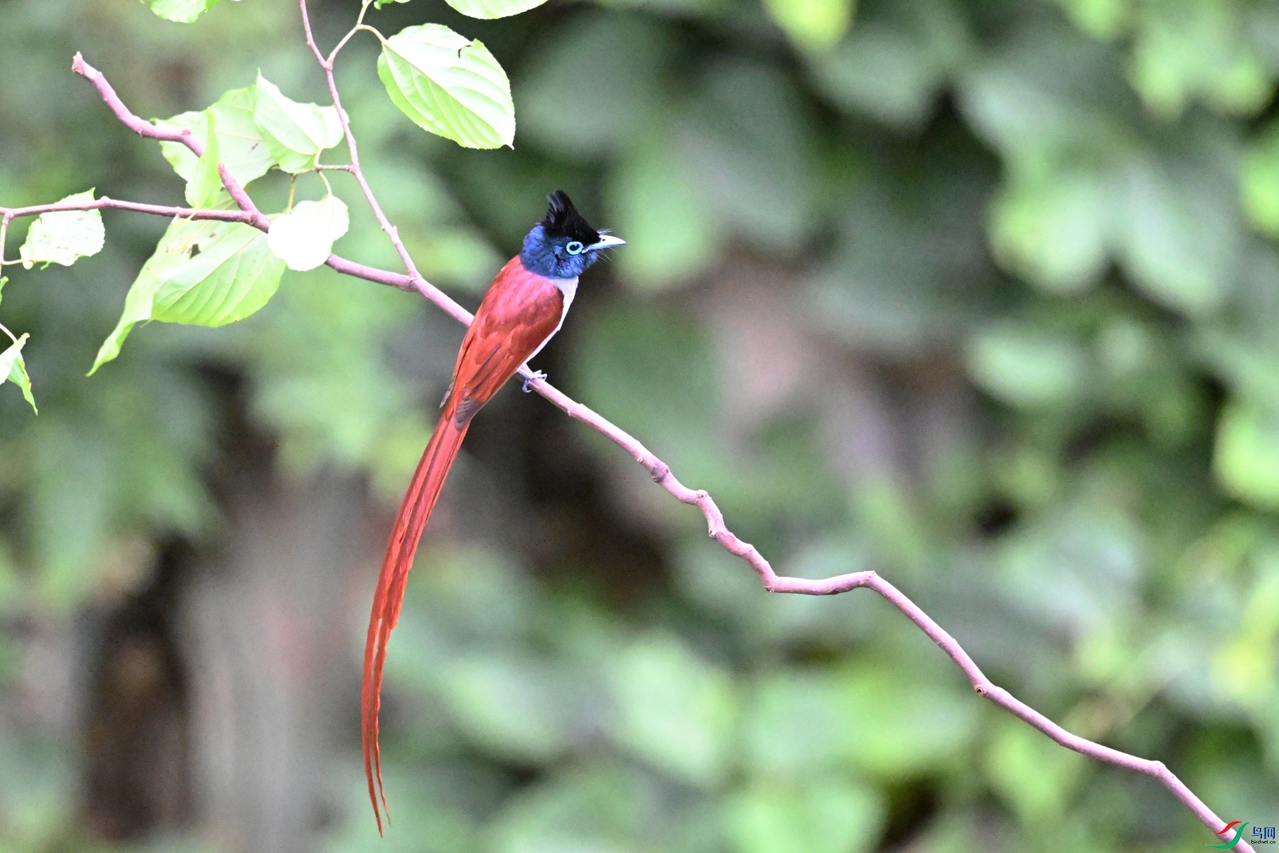 DSC_6383.JPG