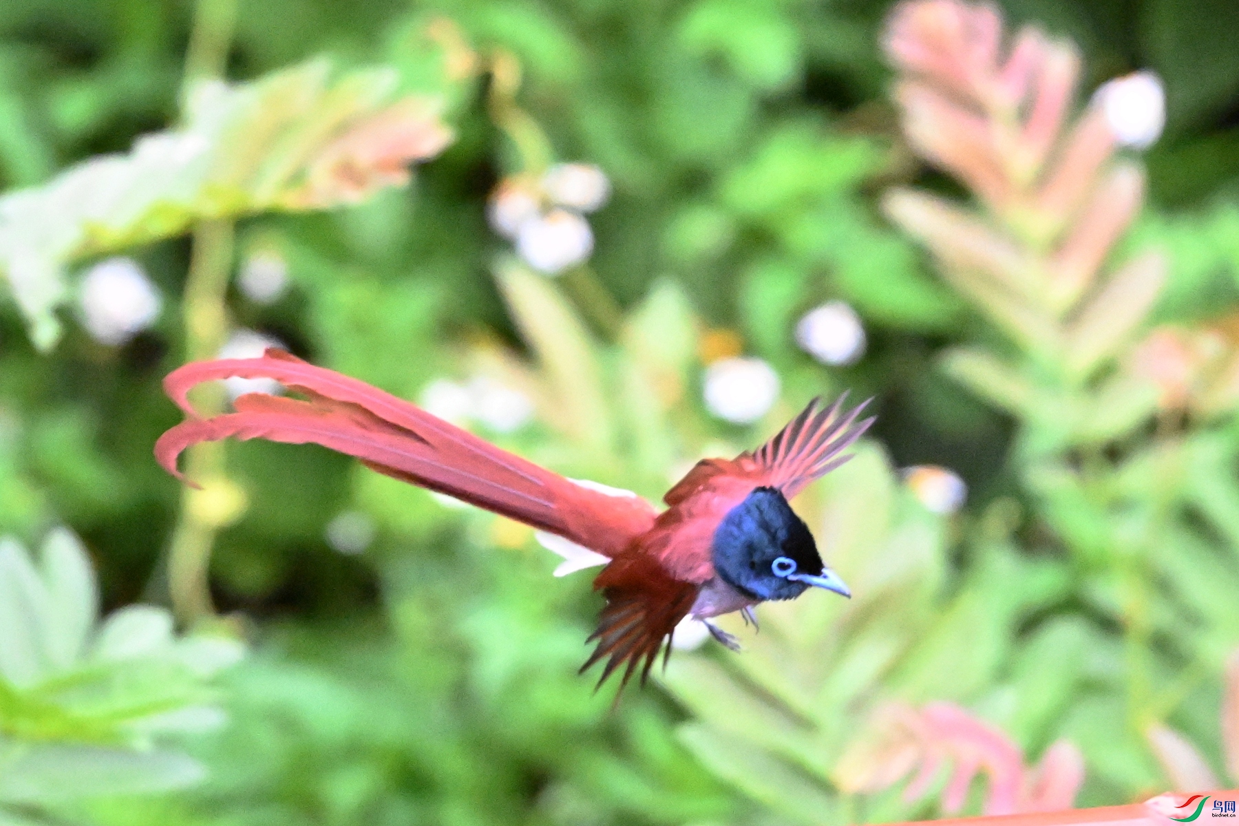 DSC_6339.JPG