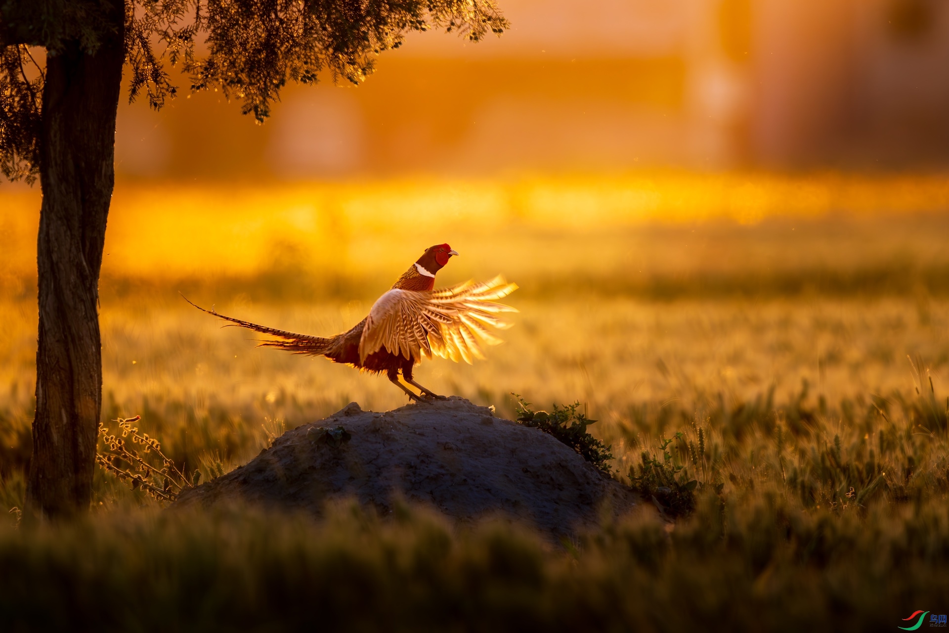 4_DSC7902-����ǿ-NR-1 2.jpeg