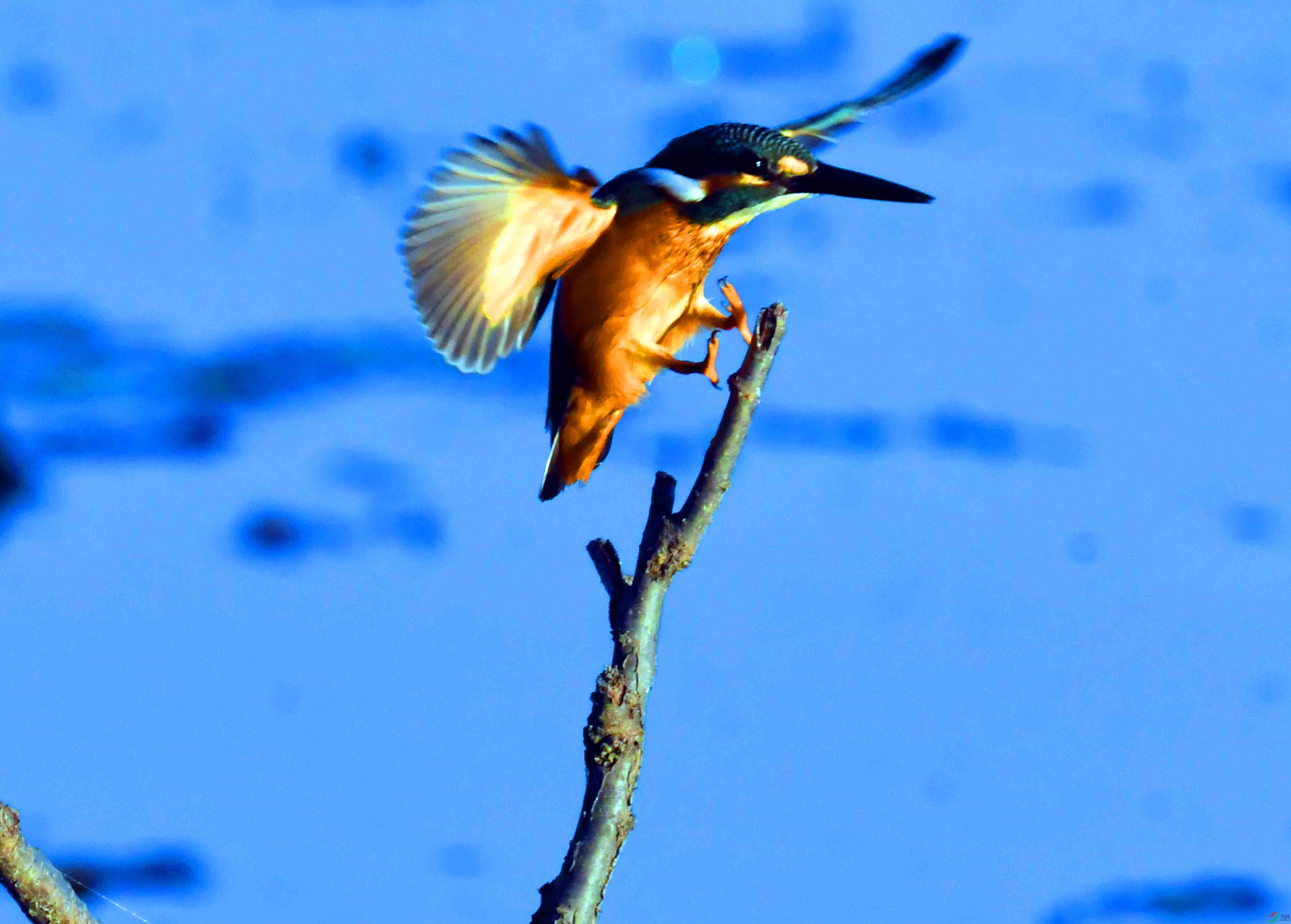 DSC_5128.JPG