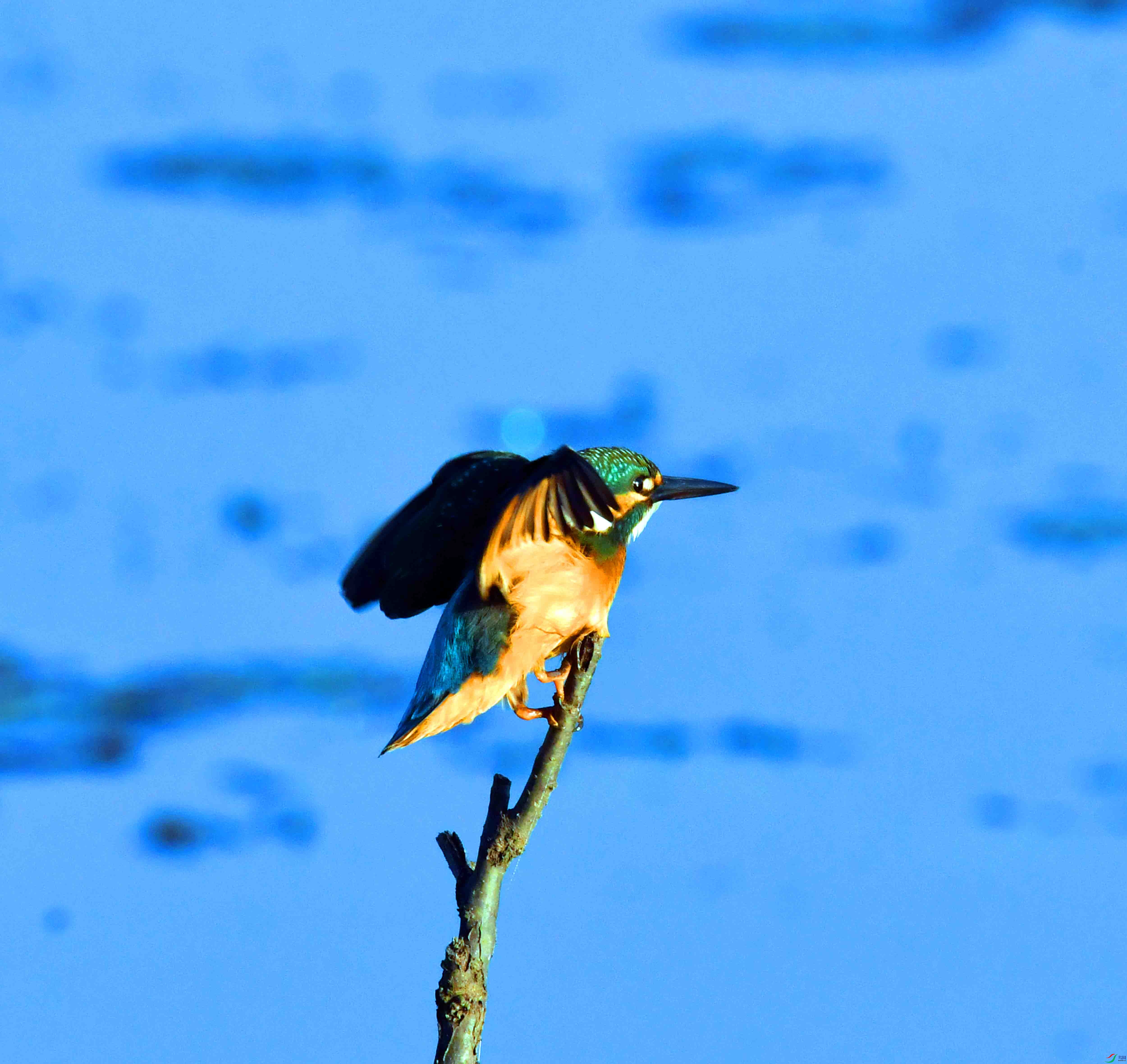DSC_5143.JPG