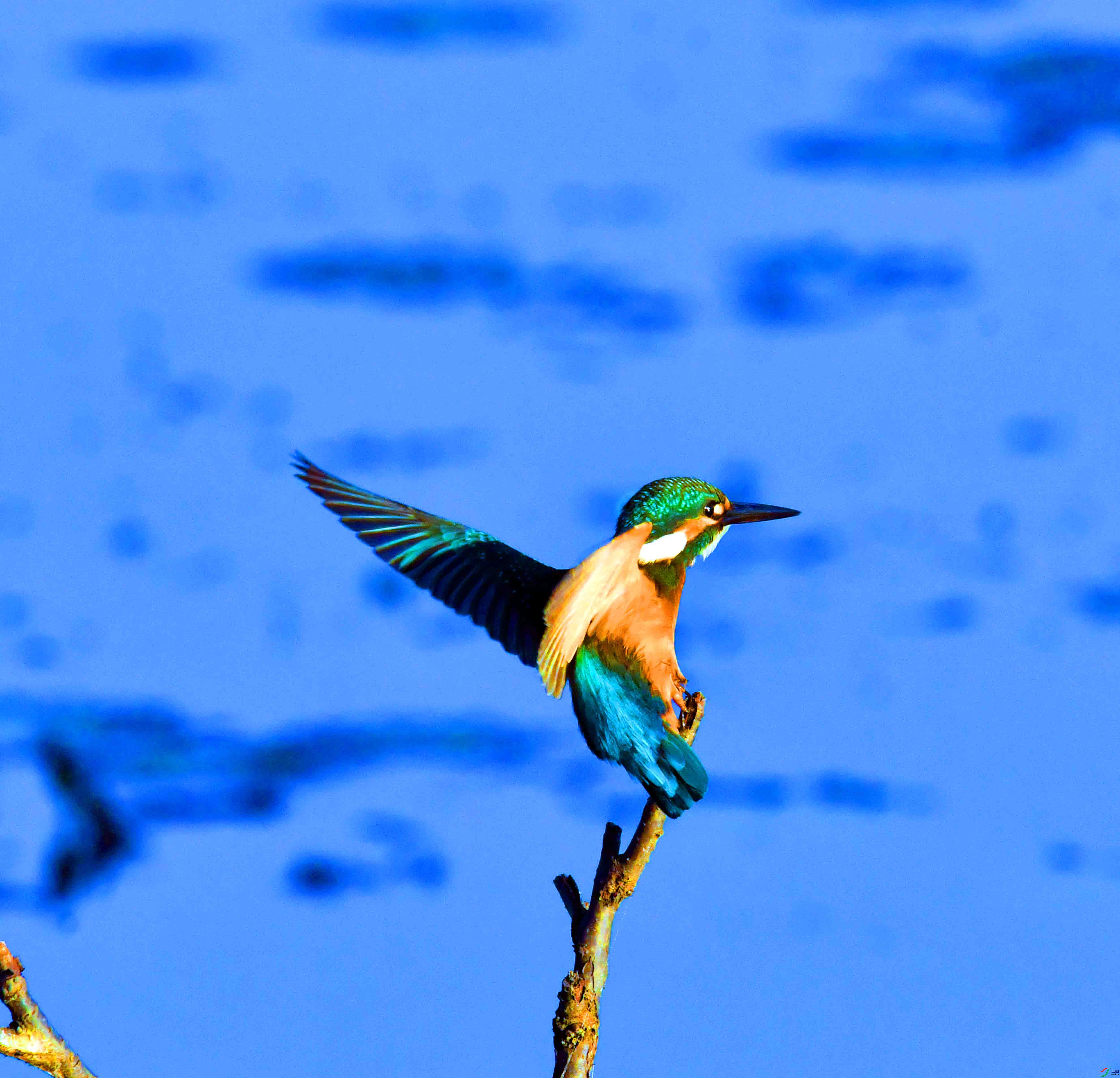 DSC_5146.JPG
