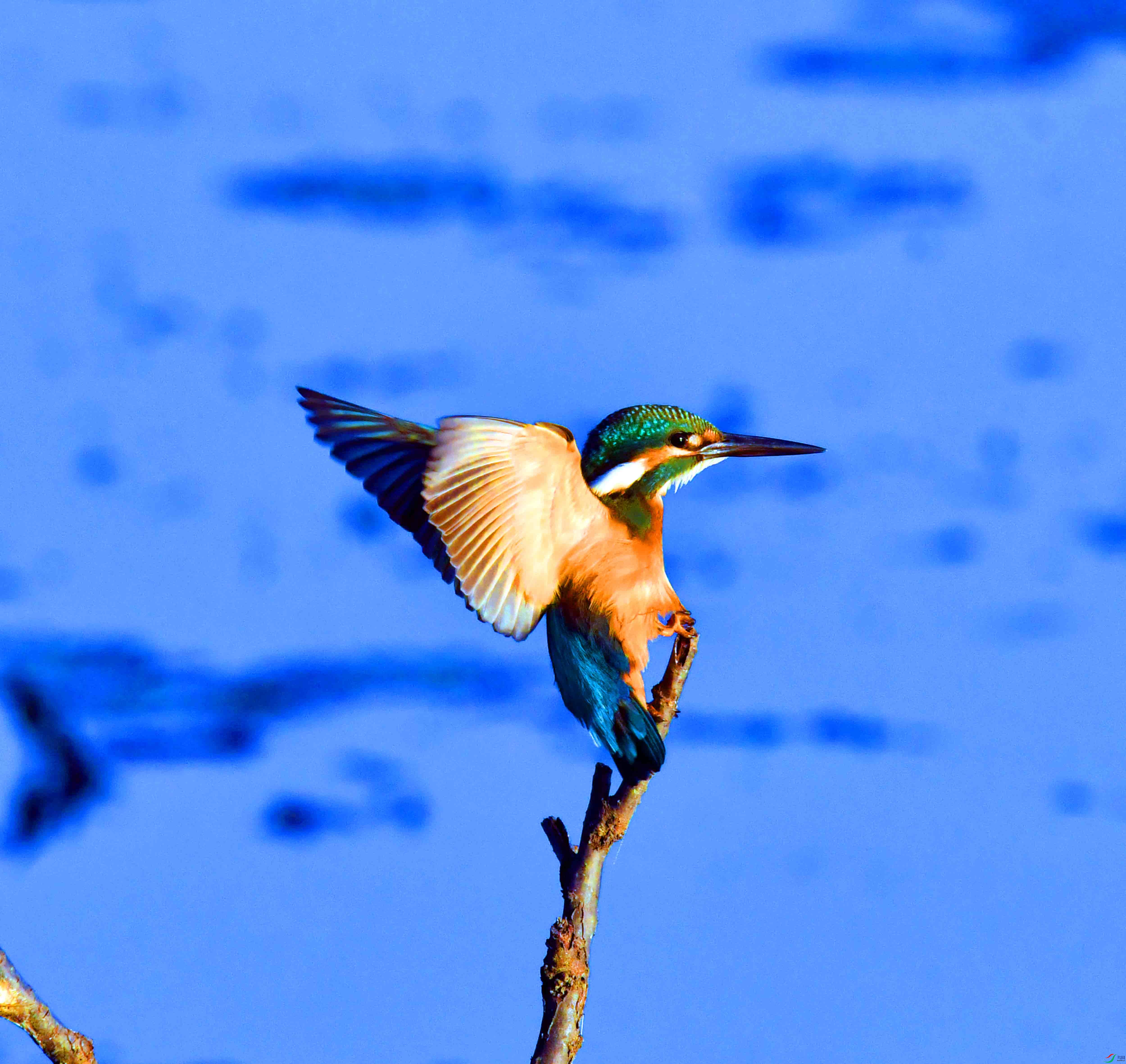 DSC_5148.JPG