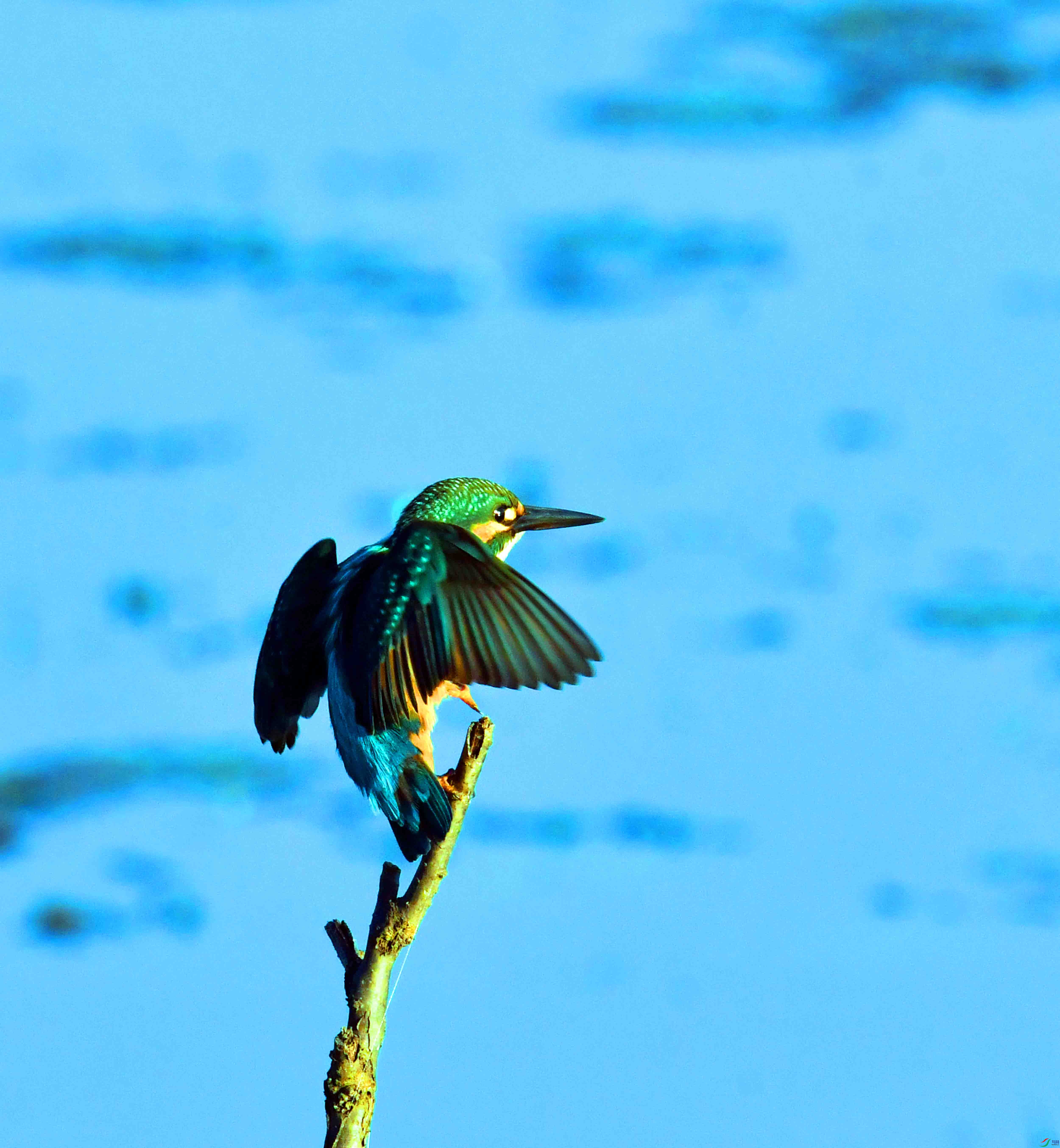 DSC_5147.JPG