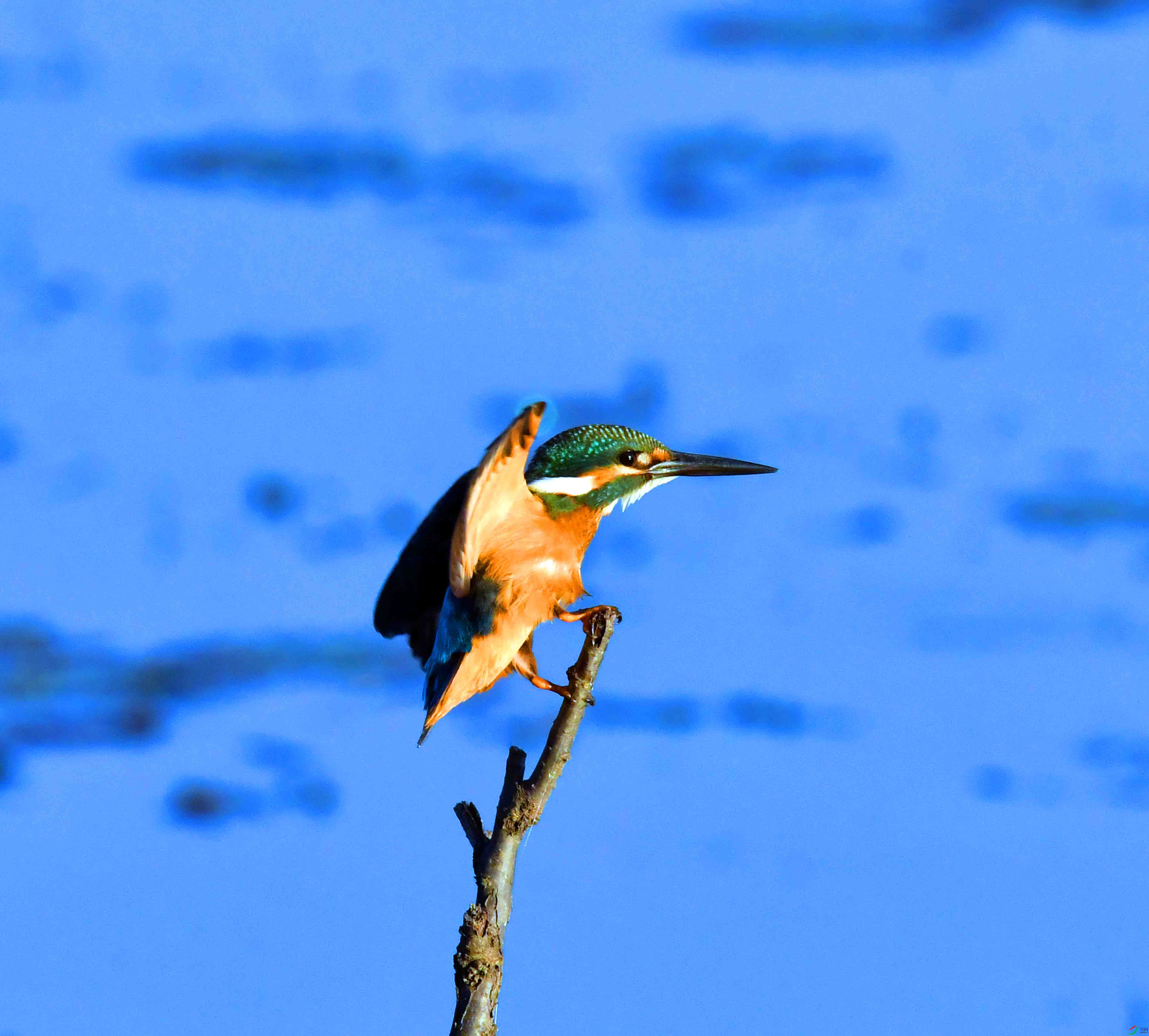 DSC_5149.JPG
