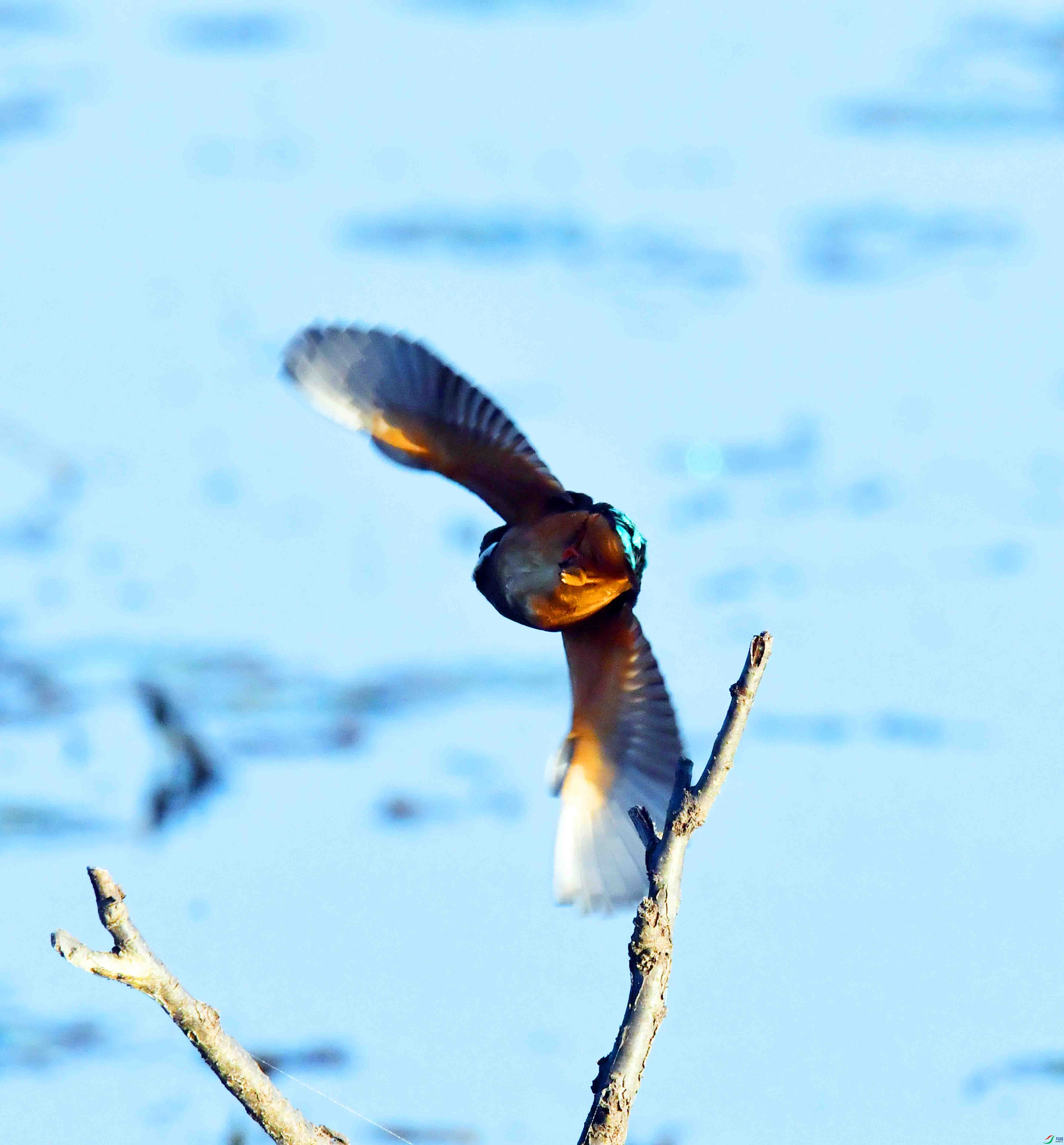 DSC_5168.JPG
