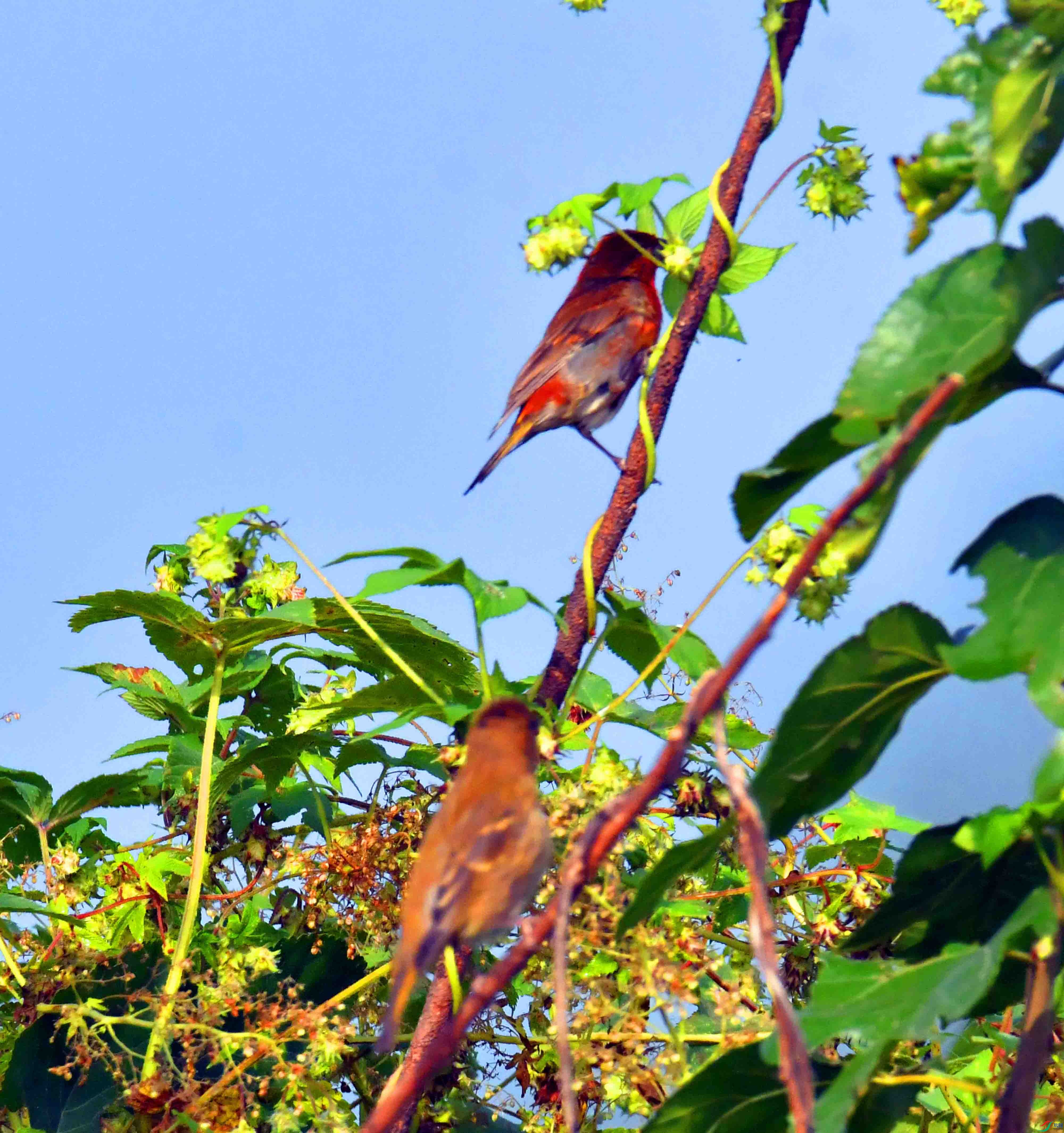 DSC_3570.JPG
