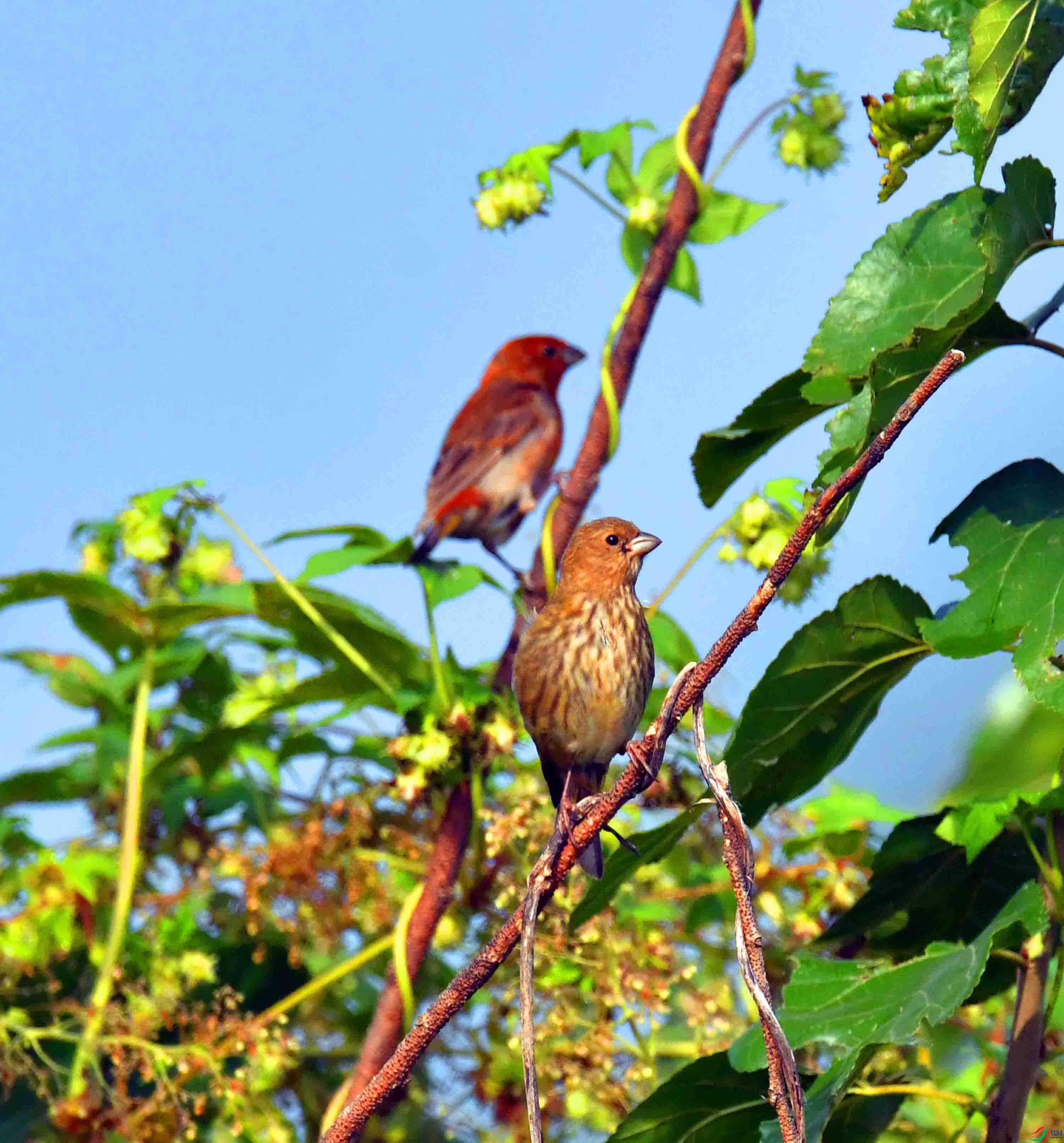 DSC_3590.JPG