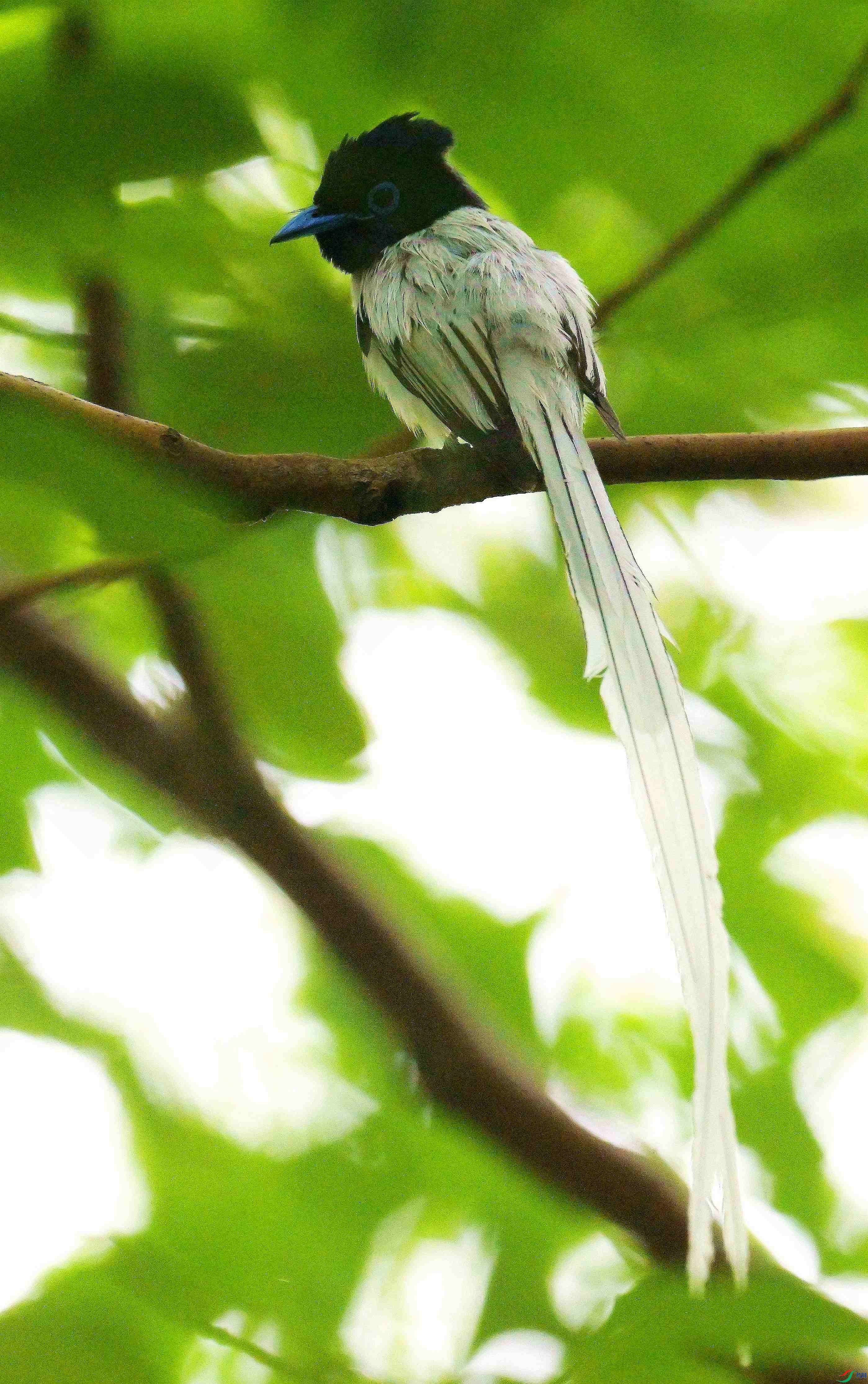DSC_1053.jpg
