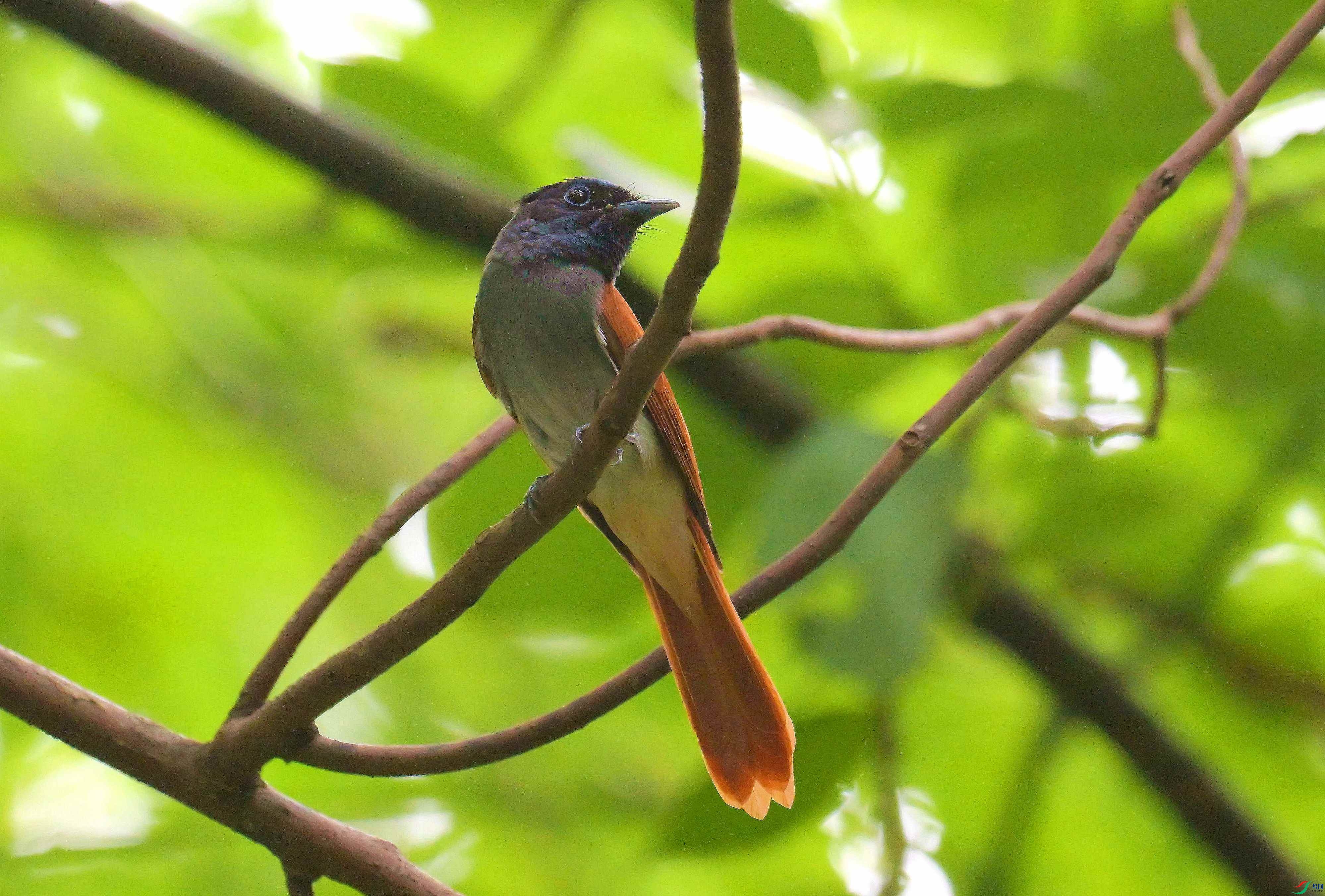 DSC_1203.jpg