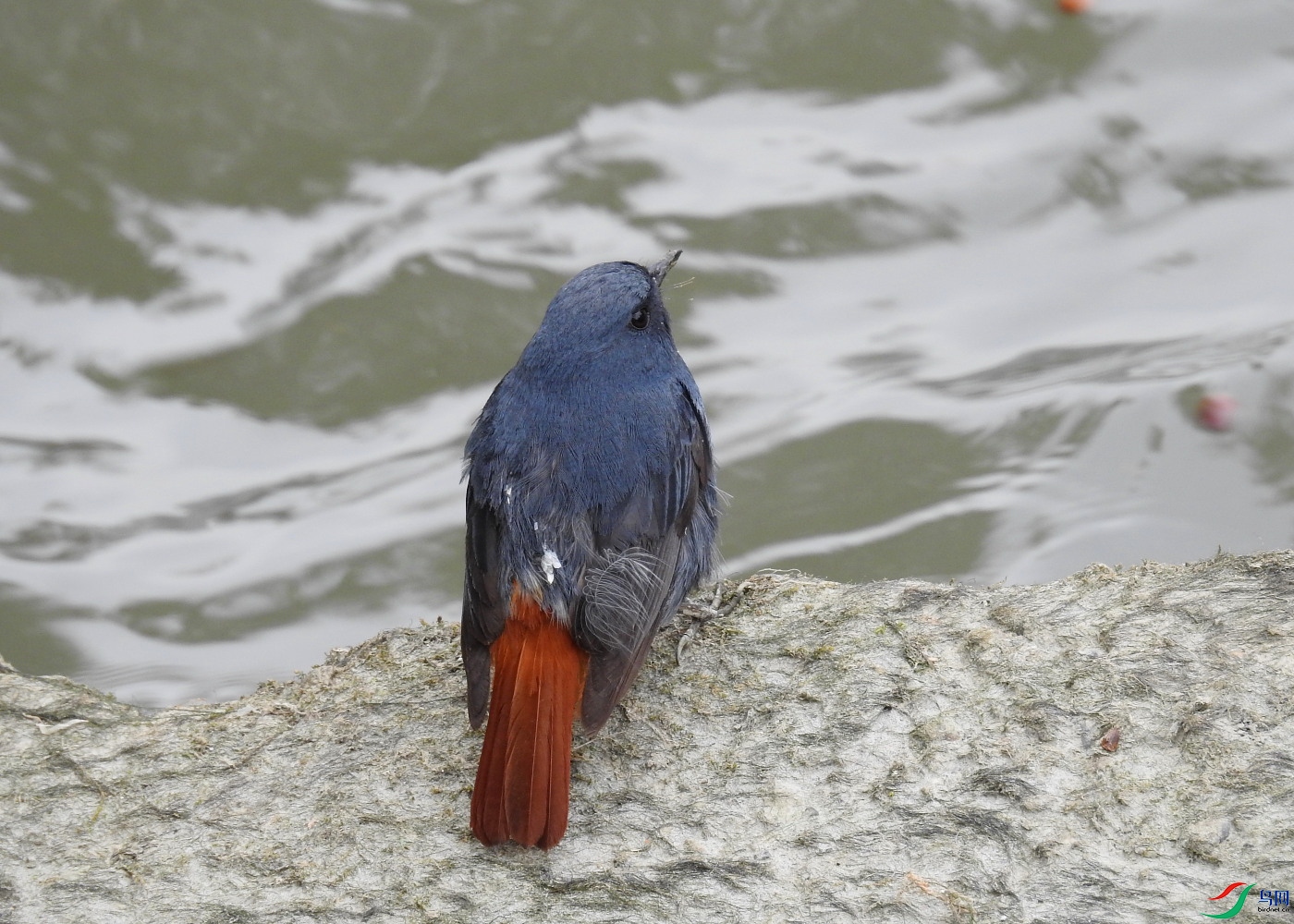 DSCN8243.JPG