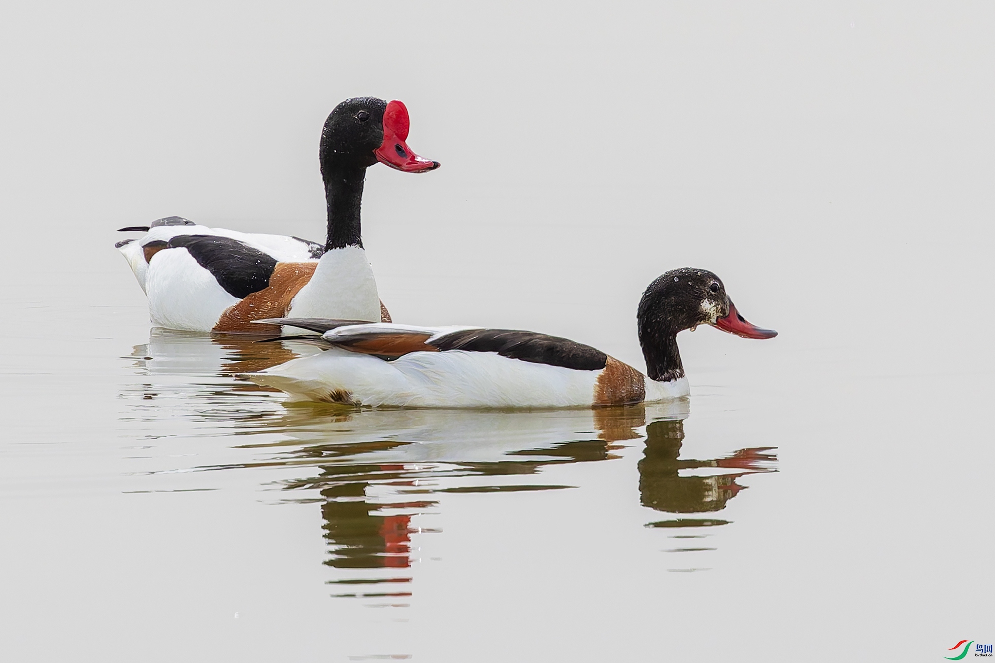 �̱���Ѽ��