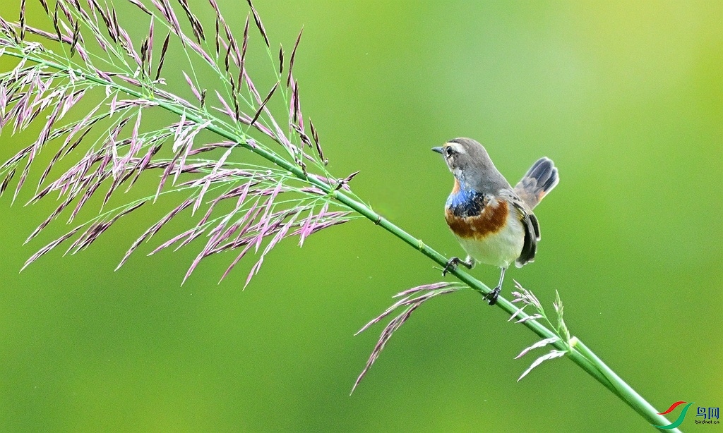 DSC_8457.JPG