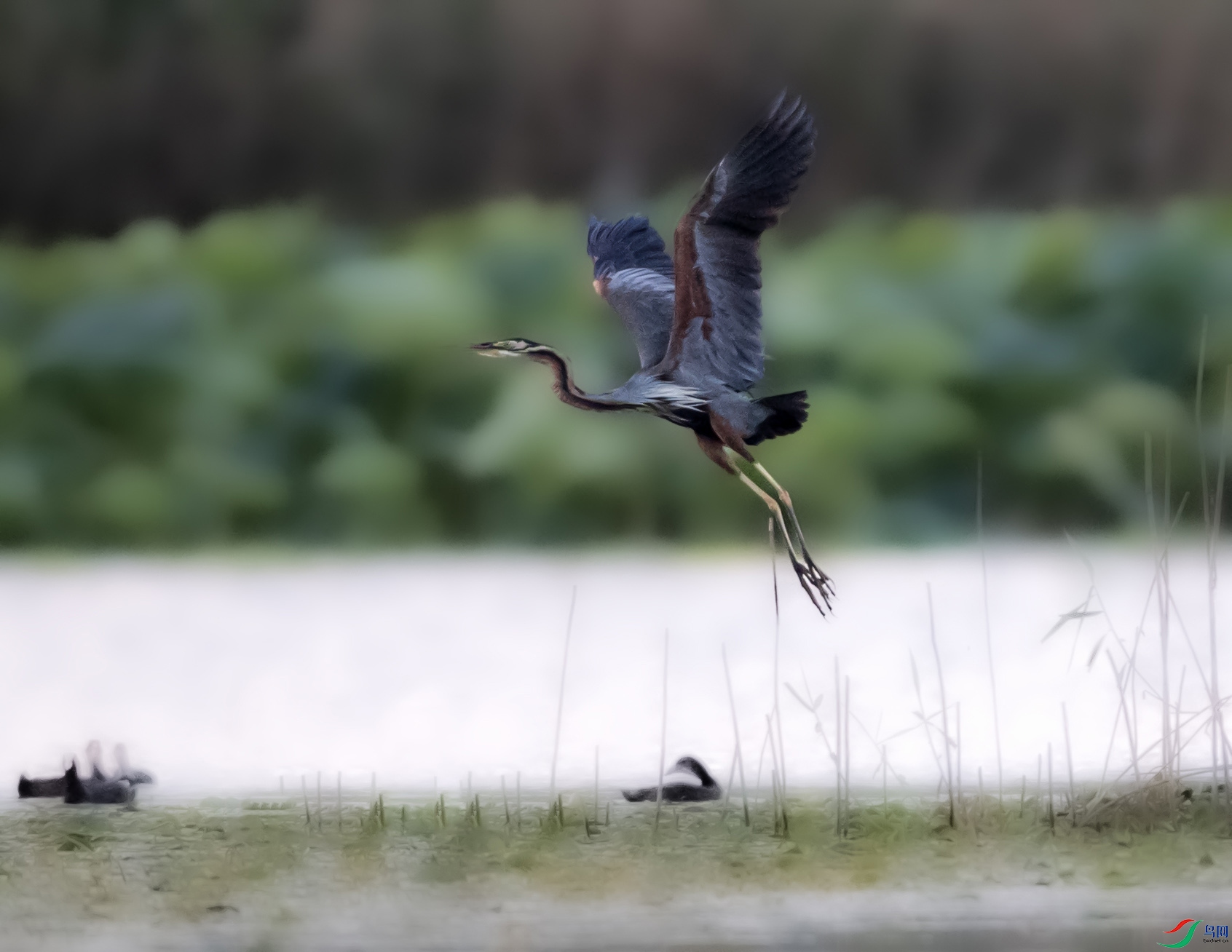 A79I4384 ����.jpg