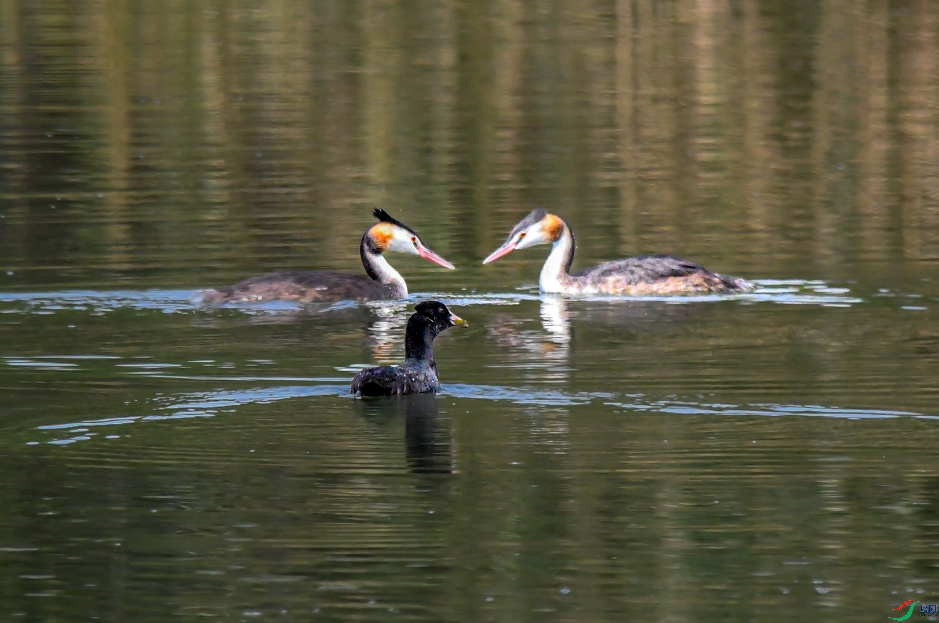 DSC_9932_��ͼ�� ����.jpg