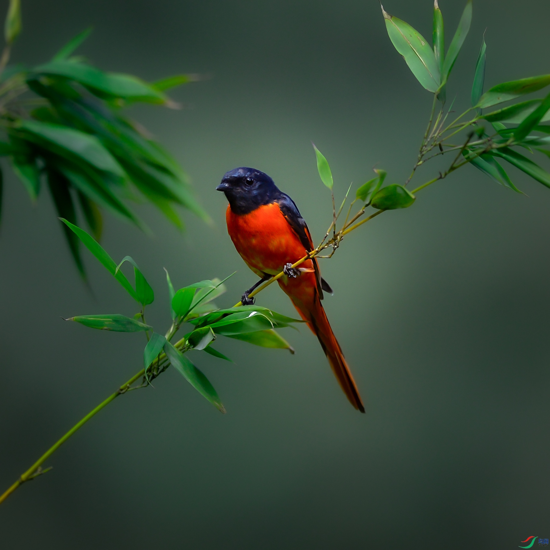 DSC_6074.jpg
