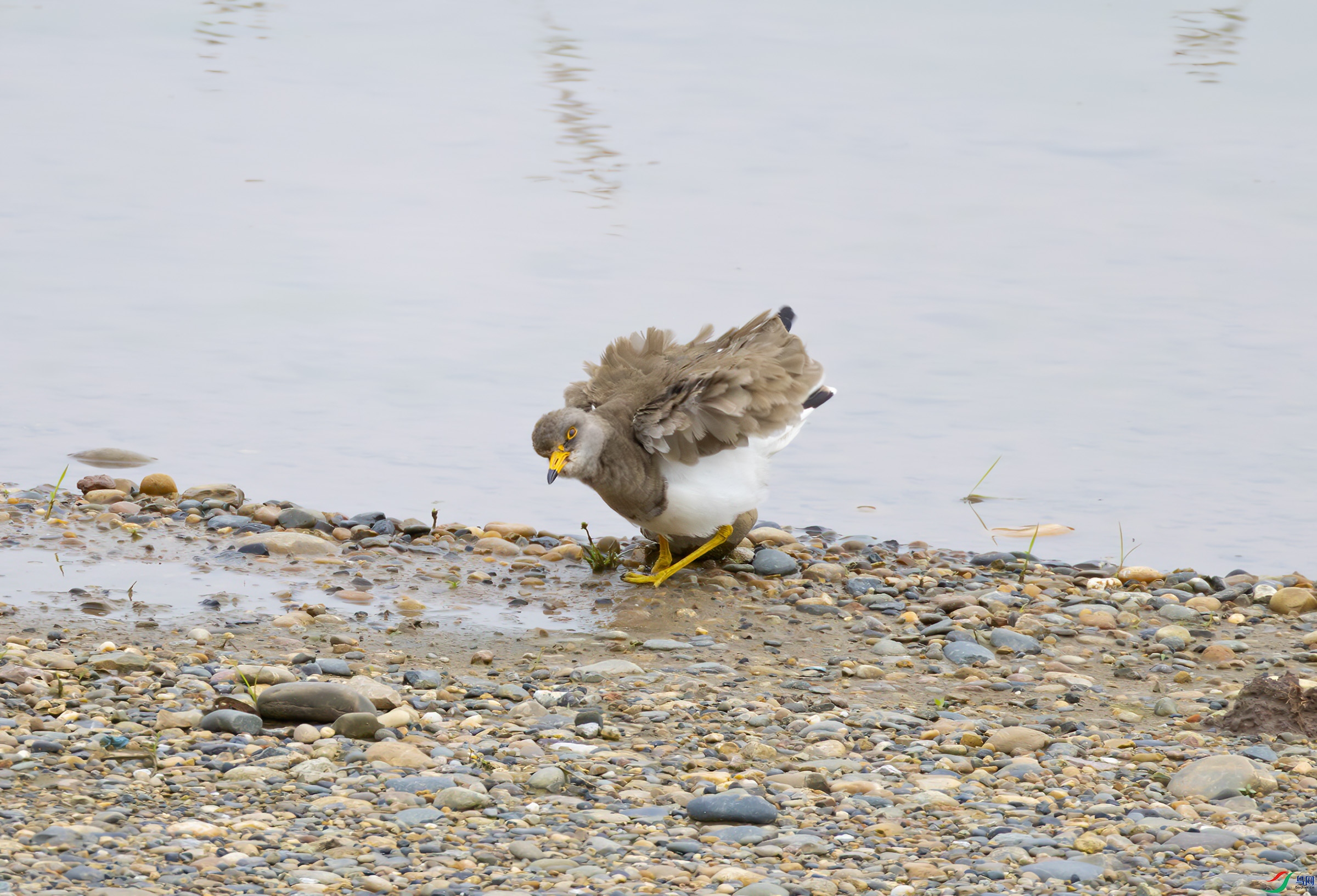 G47A9044-����ǿ-NR ����.jpg