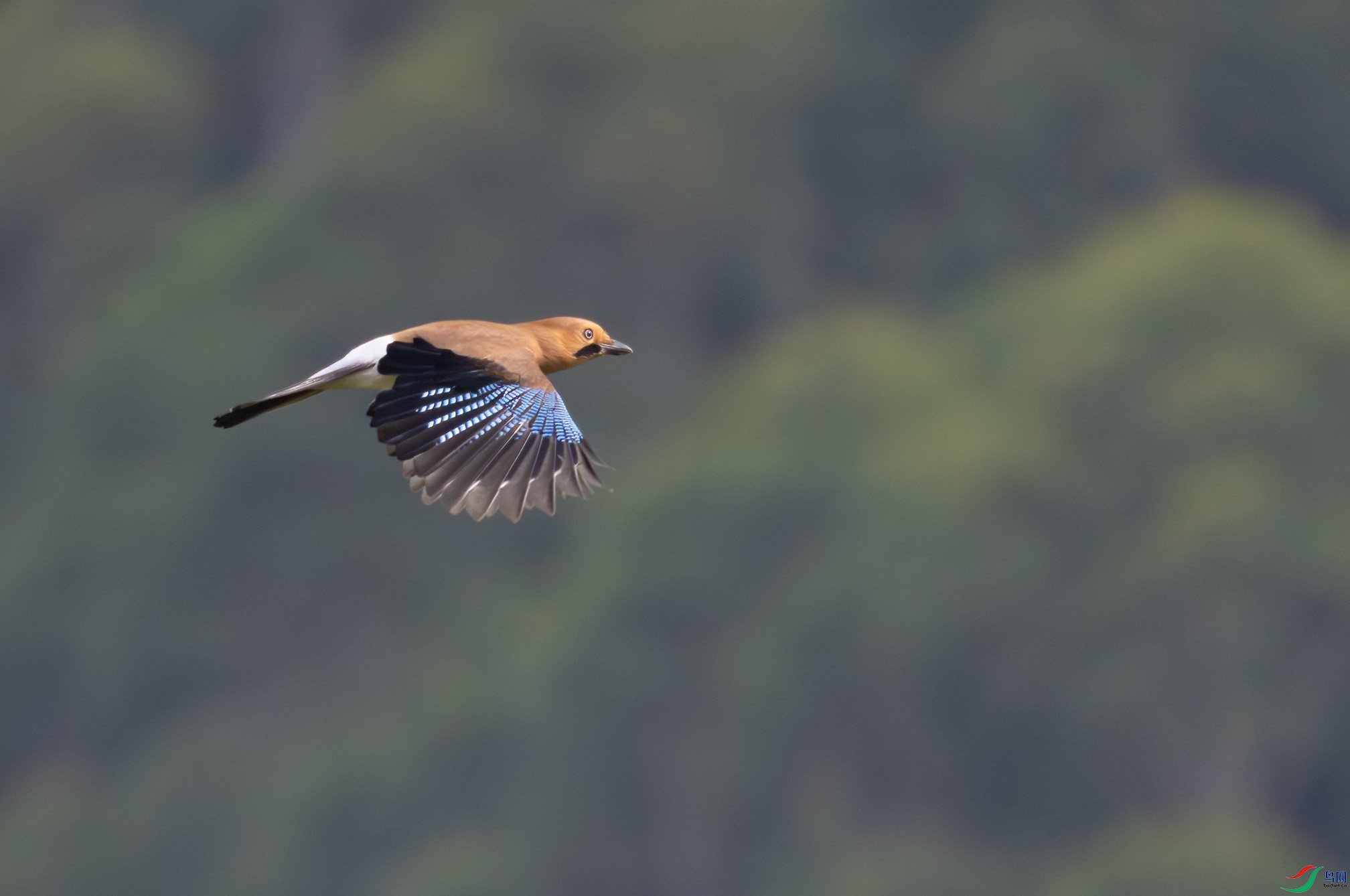 G47A0455-����ǿ-NR ����.jpg