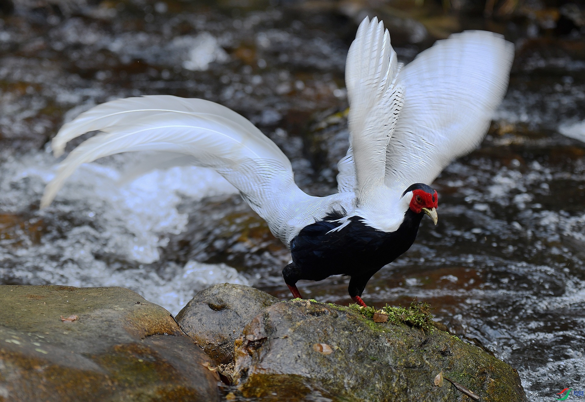 DSC_3833.jpg