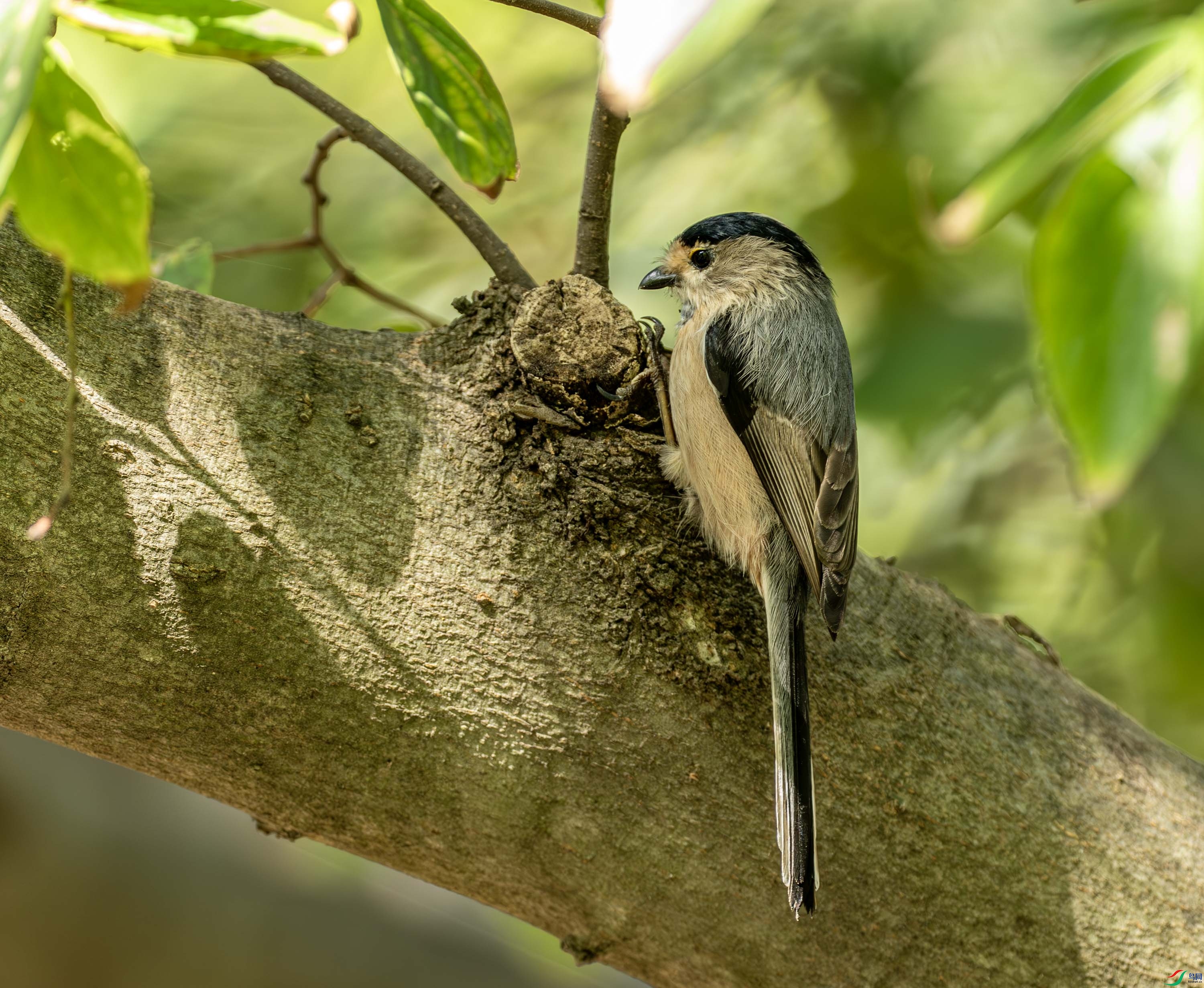 ������βɽȸ -1-7.jpg