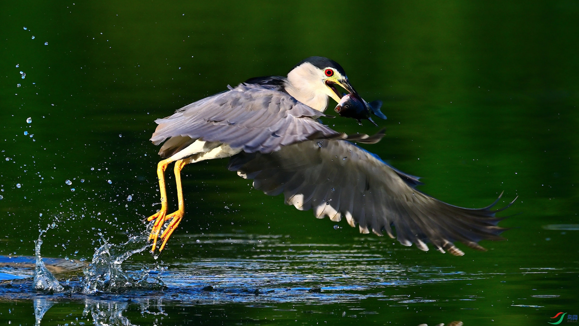 DSC_4561_01.jpg