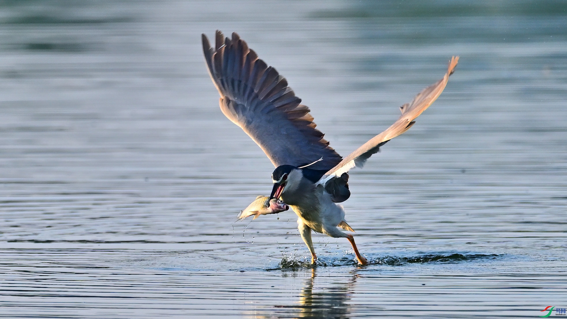 DSC_6589_01.jpg