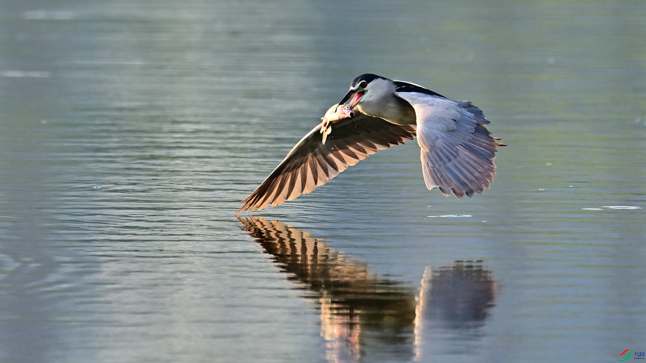 DSC_6613_01.jpg