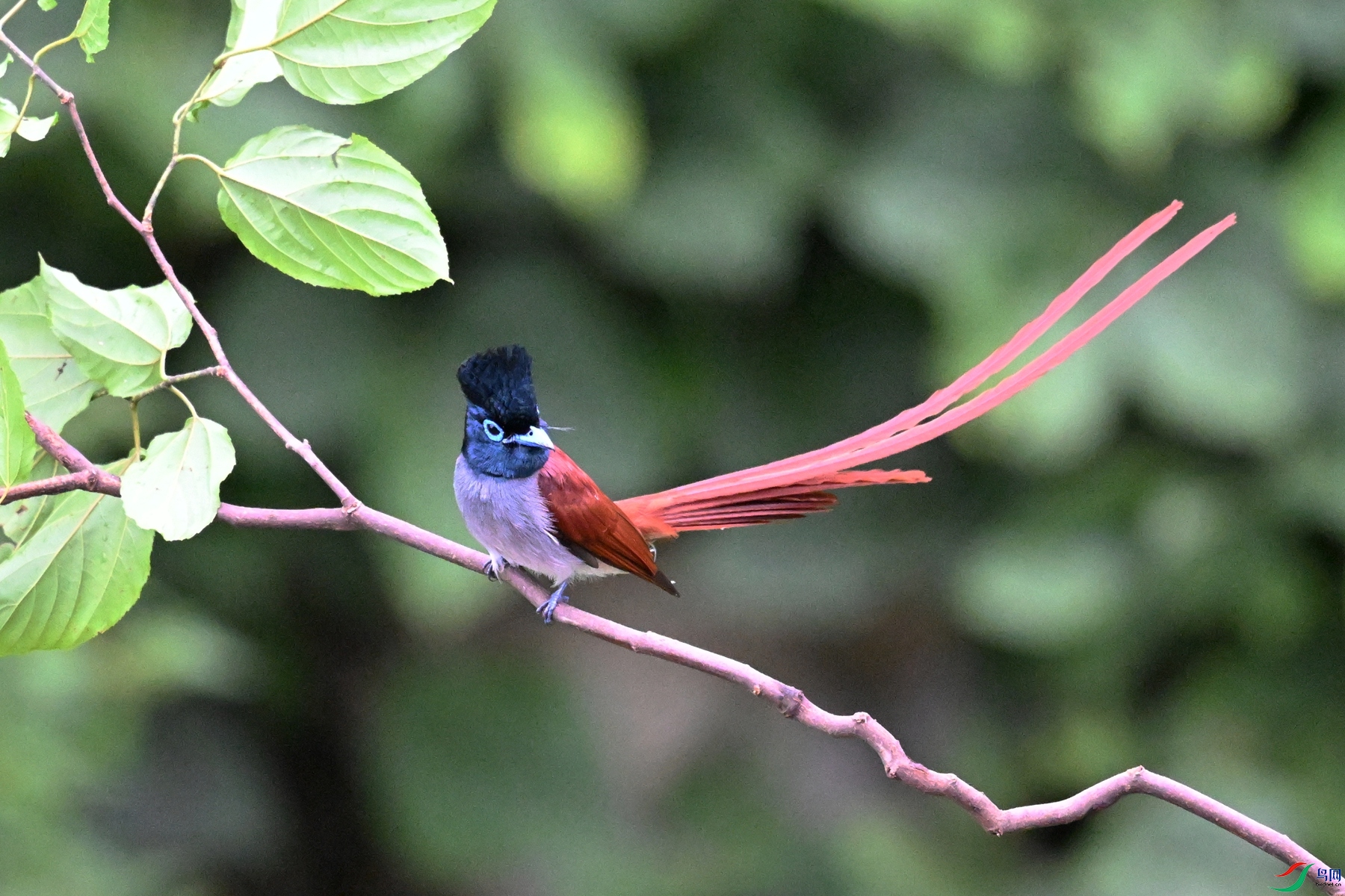 DSC_6430.JPG