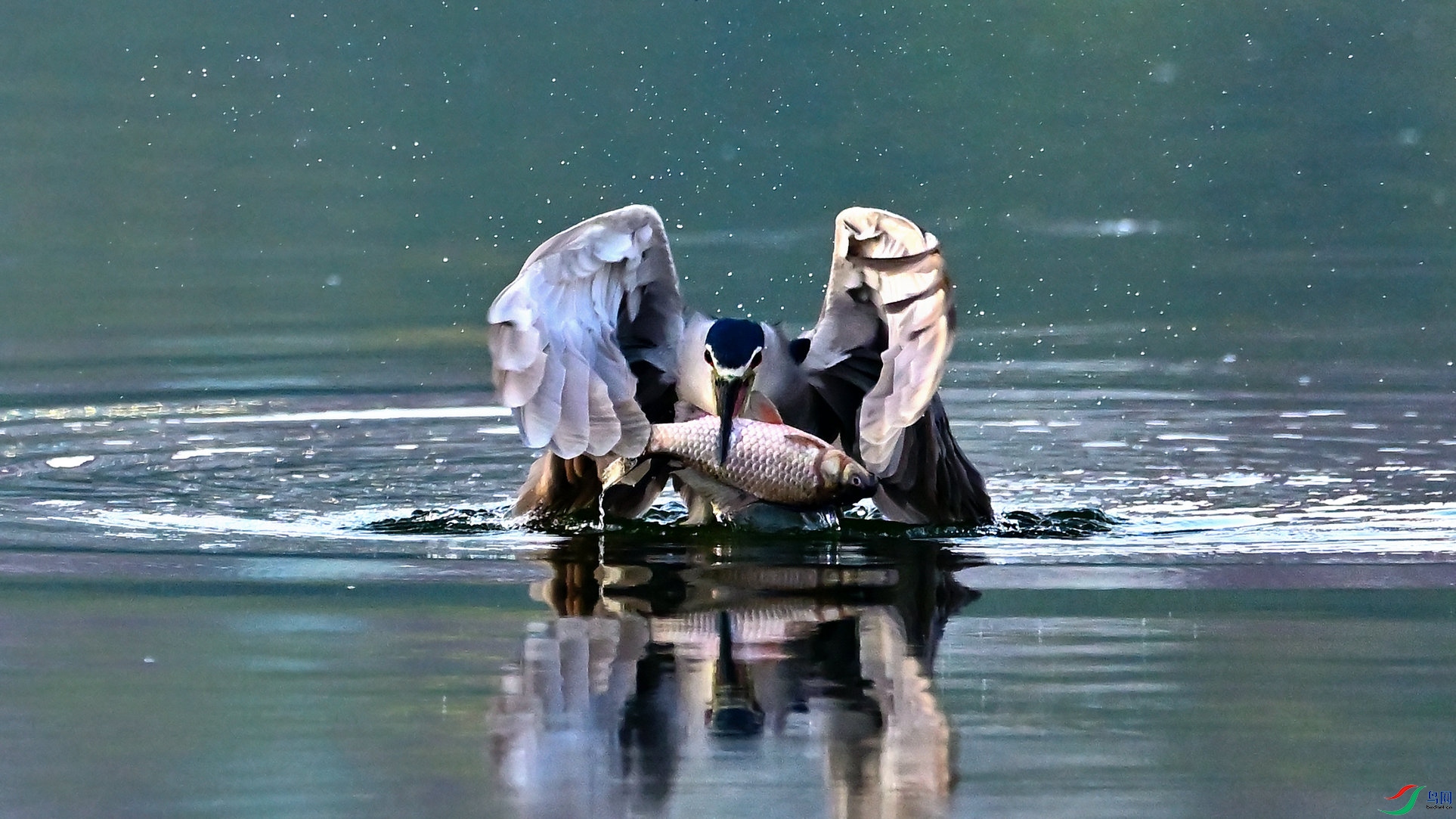 DSC_7016_02.jpg