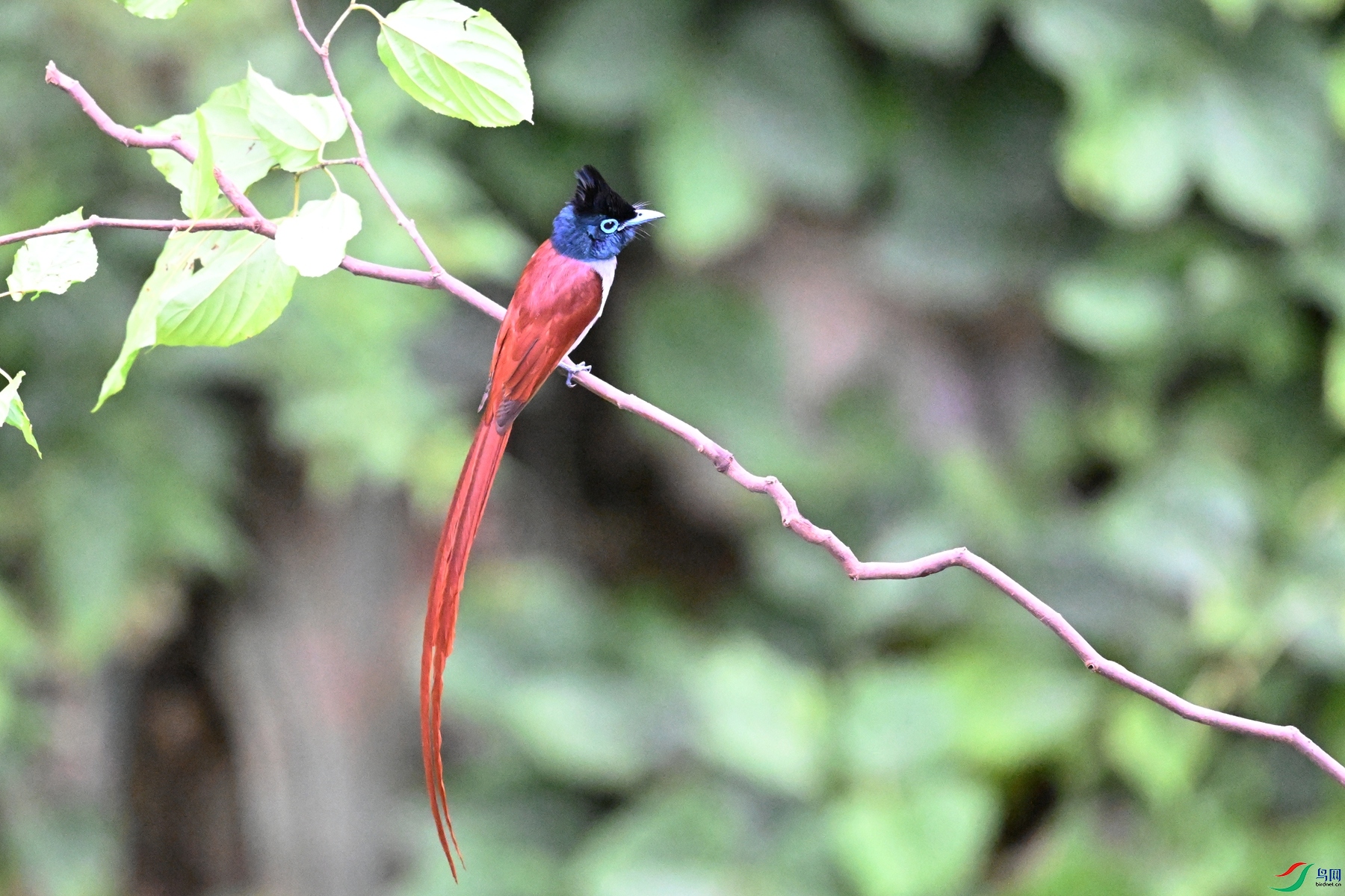 DSC_6384.JPG
