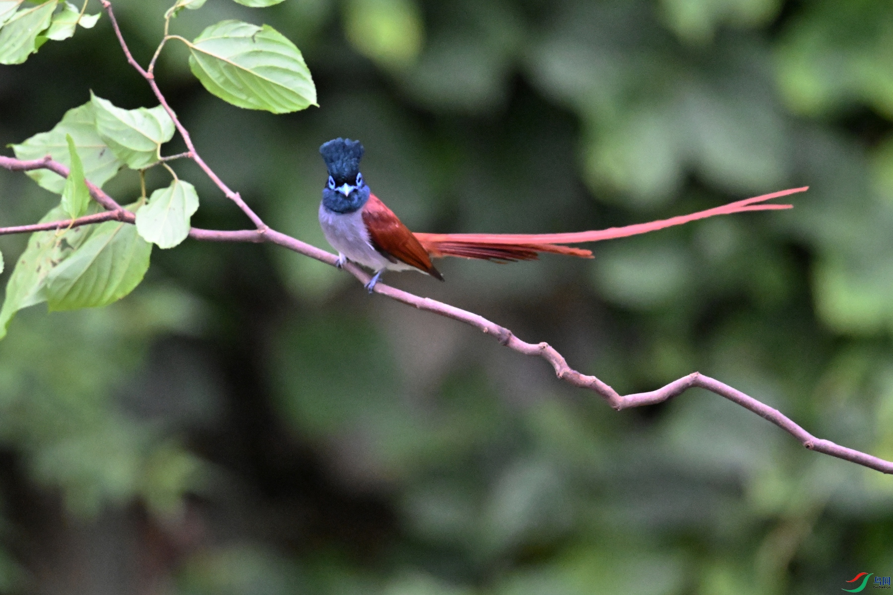 DSC_6423.JPG